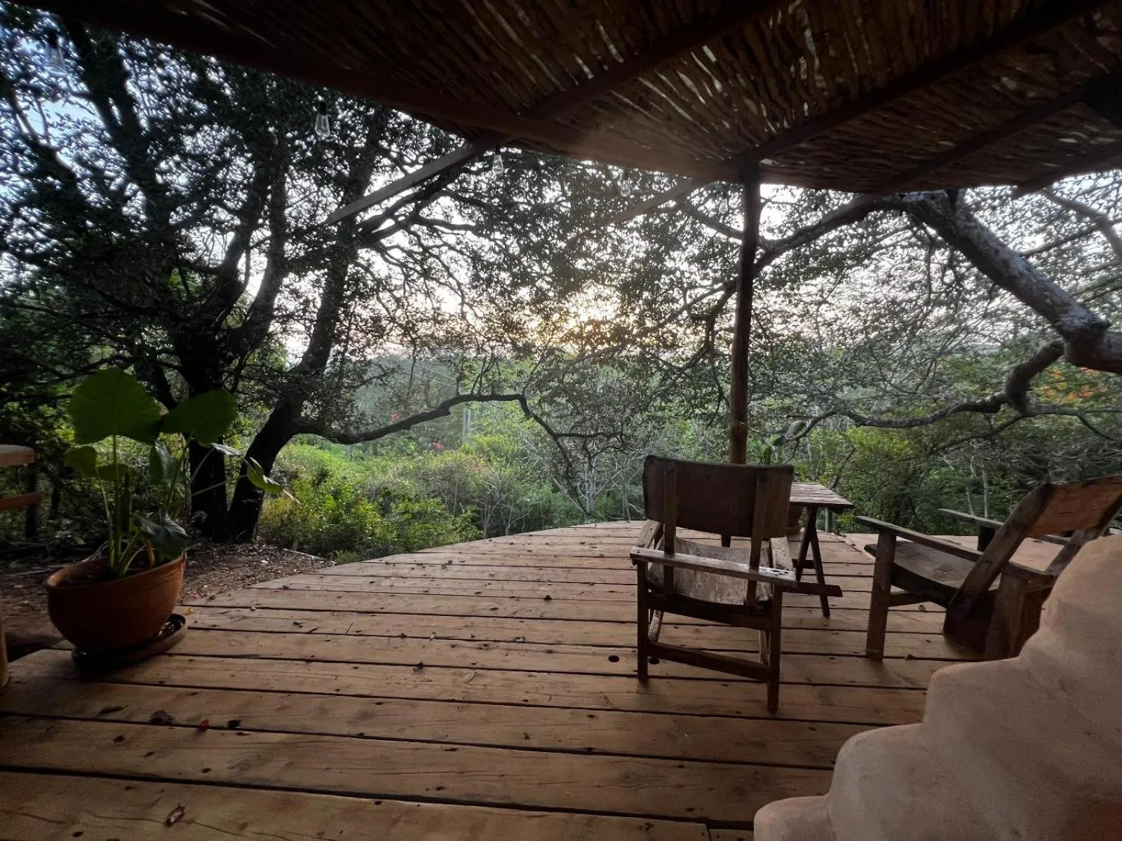 Distant Relatives Ecolodge & Backpackers