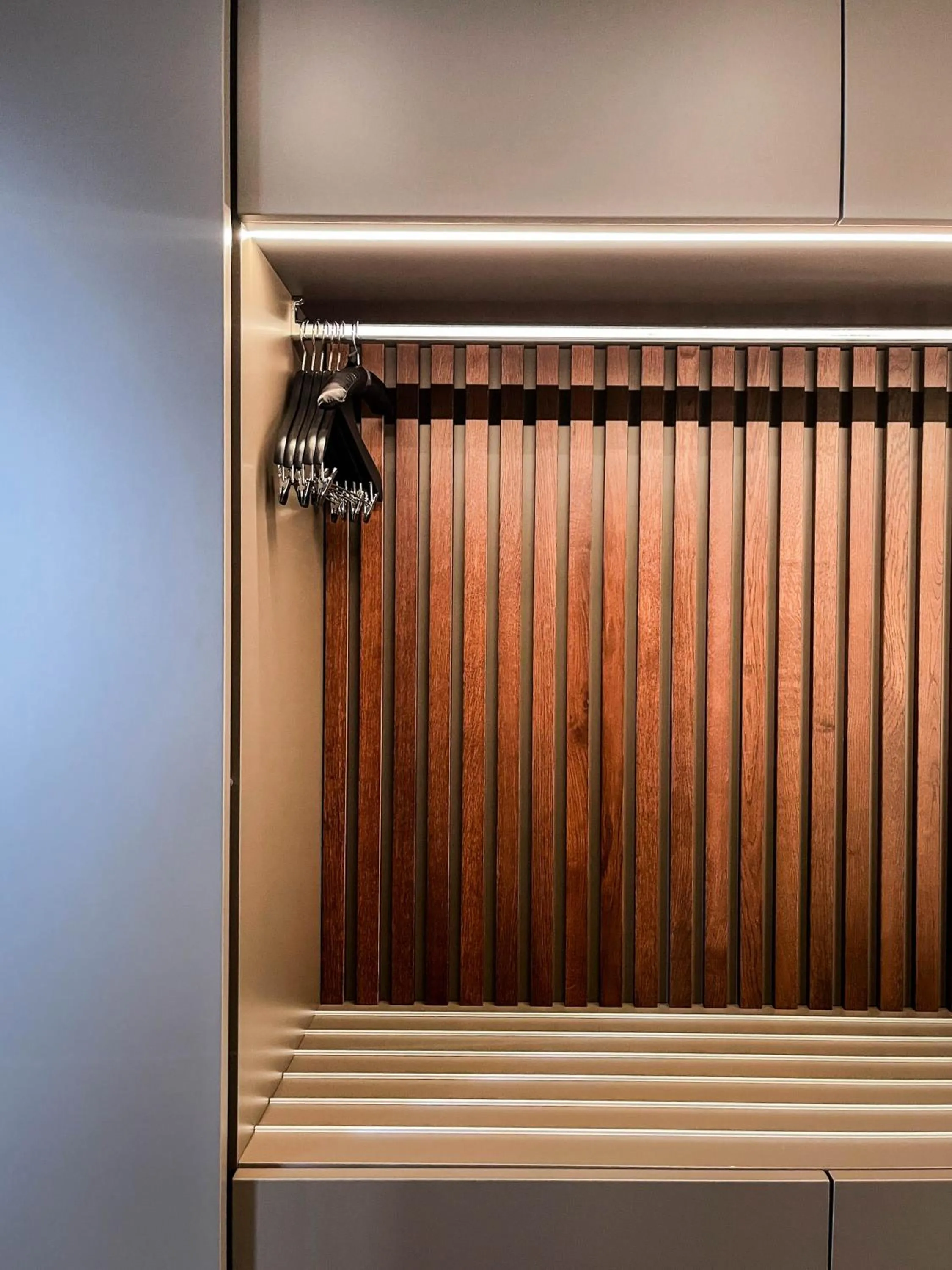 wardrobe in Villars Palace