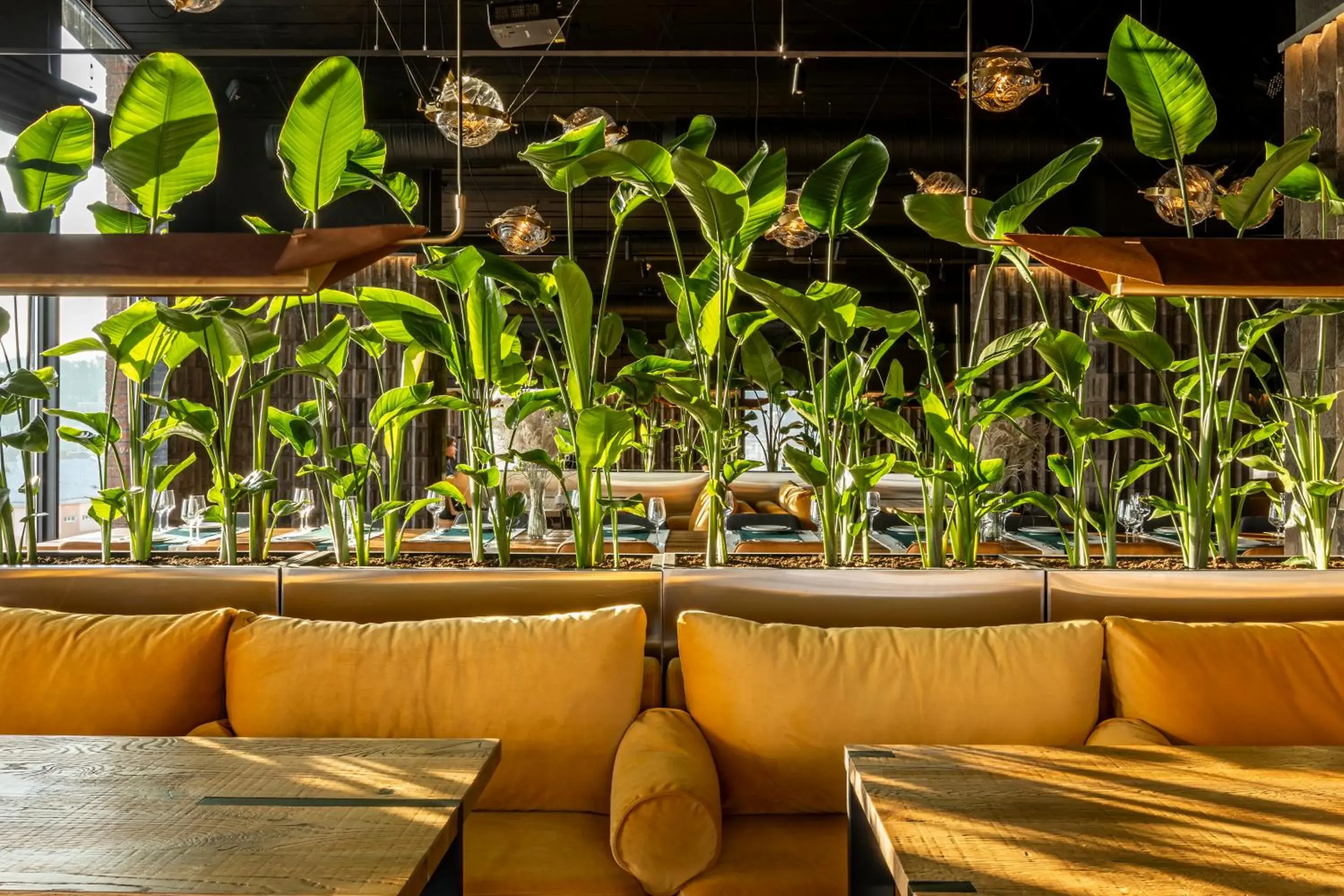 Restaurant/places to eat in Loft7 Restaurant/places to eat in Loft7