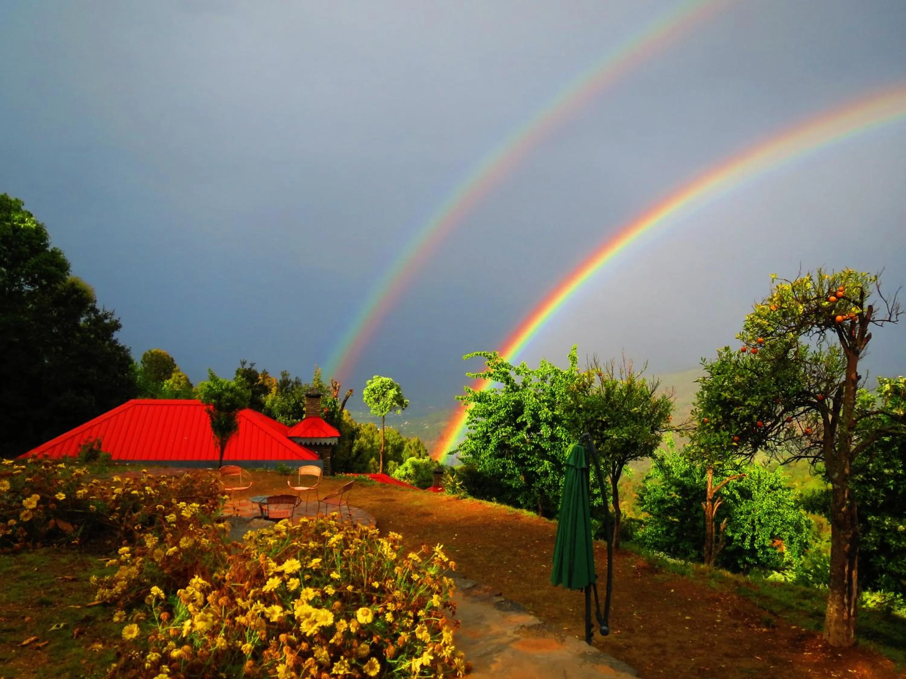 View (from property/room) in Himalaya Darshan Resort