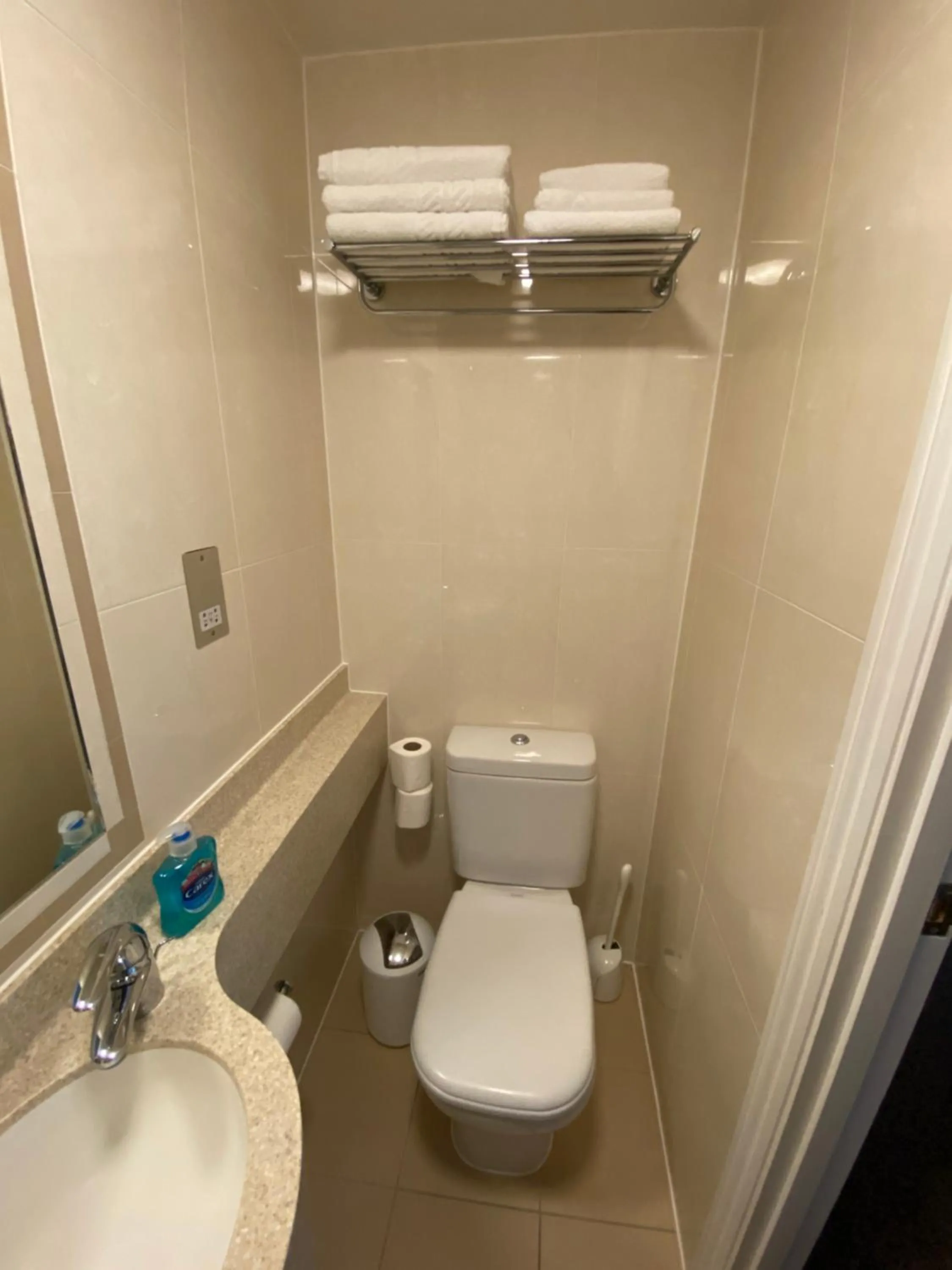 Toilet in Orchard Hotel