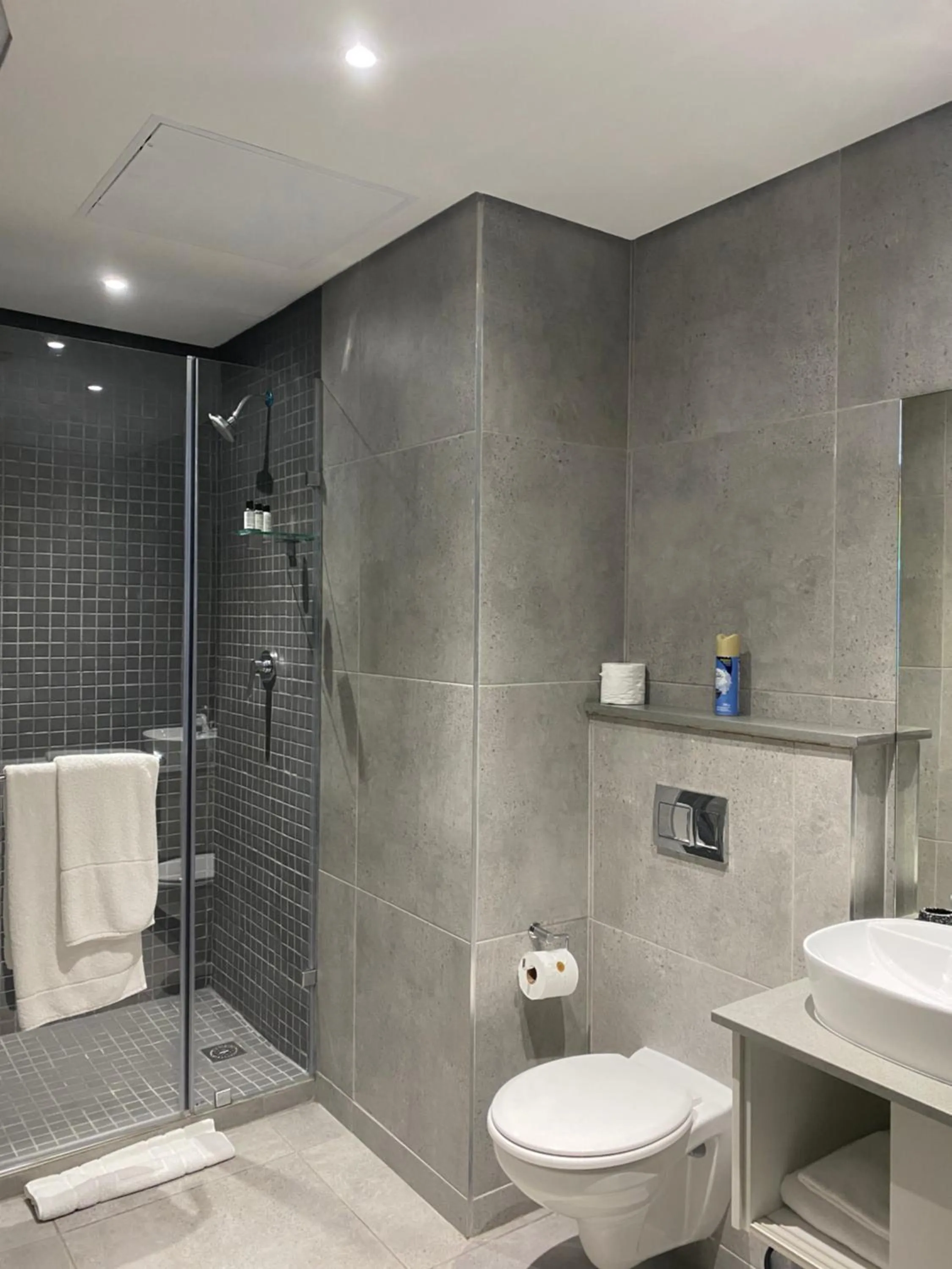 Shower in Glorystar 2Six2 Florida Road