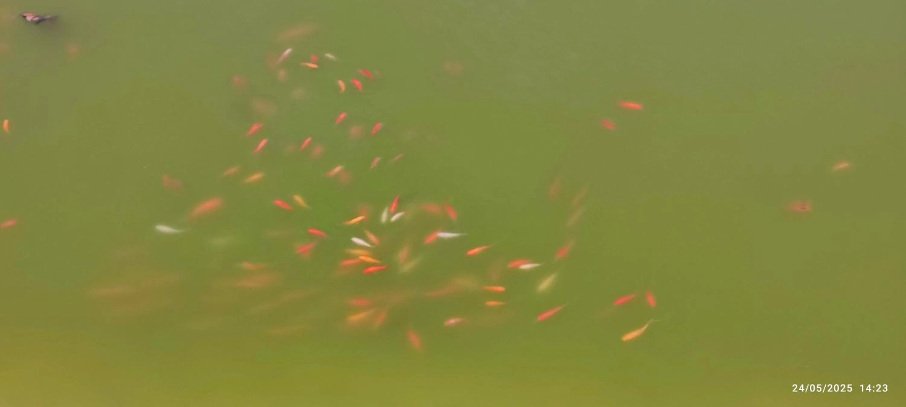 Domaine Le Lanis Chambre d'hôtes avec spa sur réservation