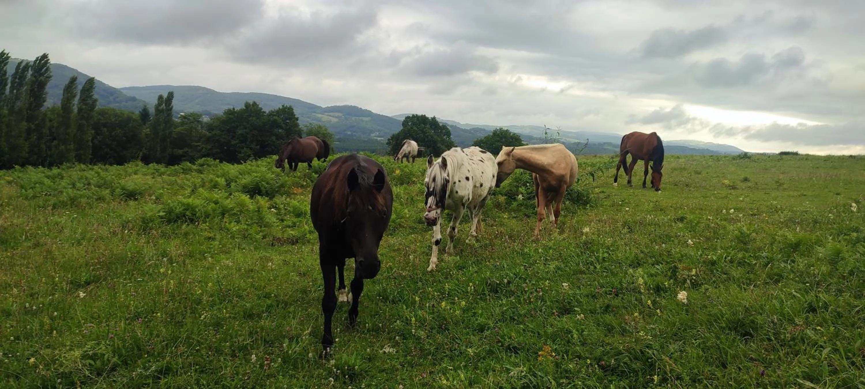 Domaine Le Lanis Chambre d'hôtes avec spa sur réservation