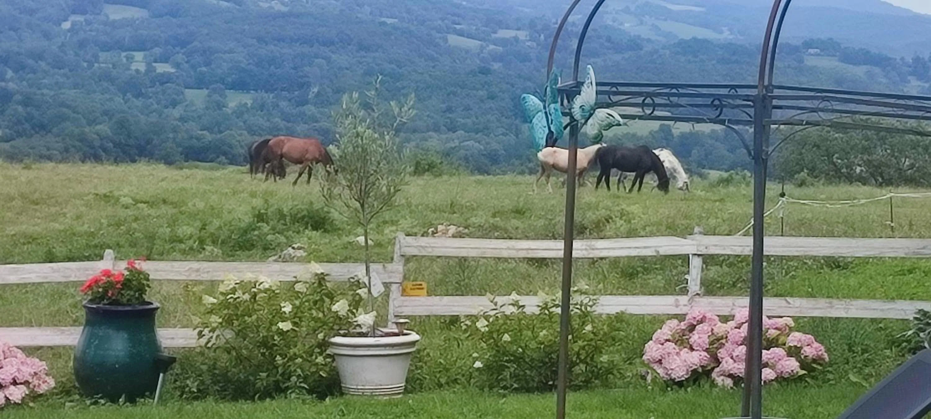 Domaine Le Lanis Chambre d'hôtes avec spa sur réservation