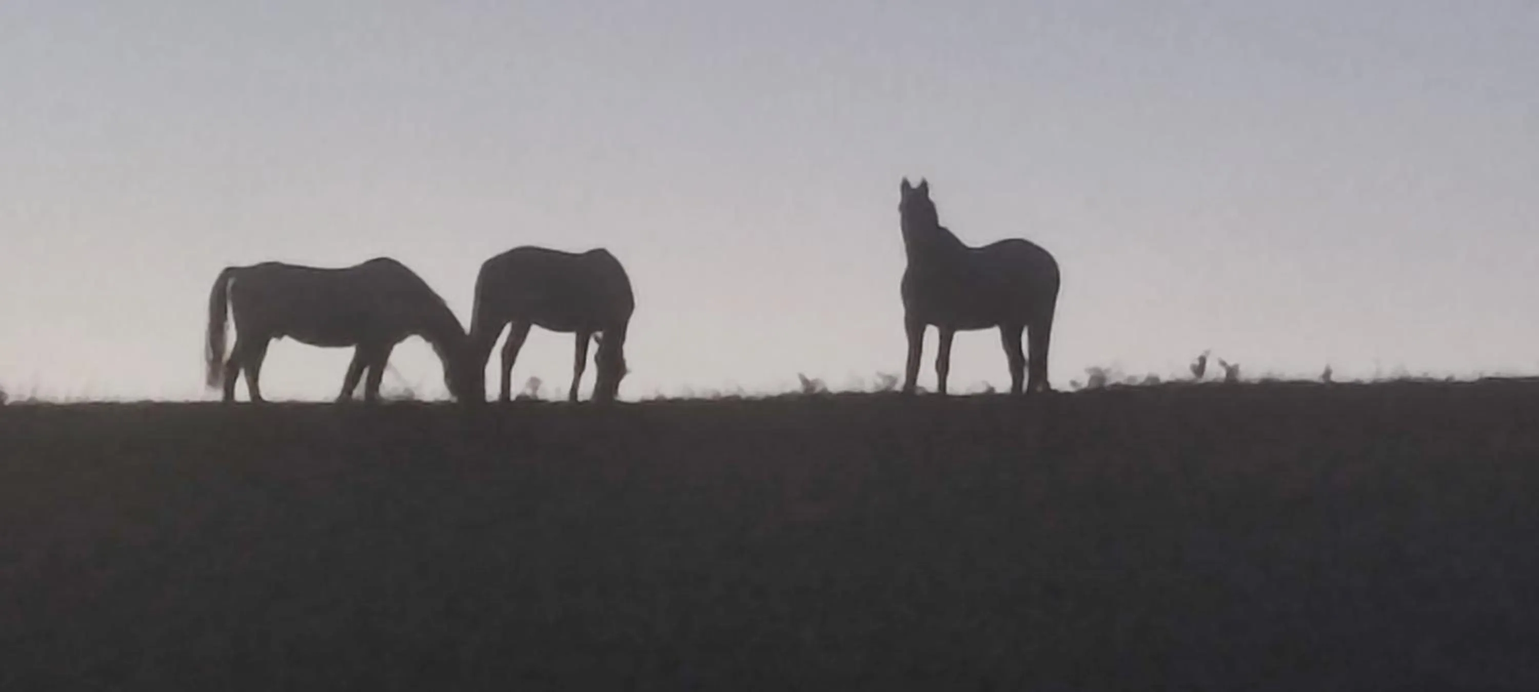 Domaine Le Lanis Chambre d'hôtes avec spa sur réservation