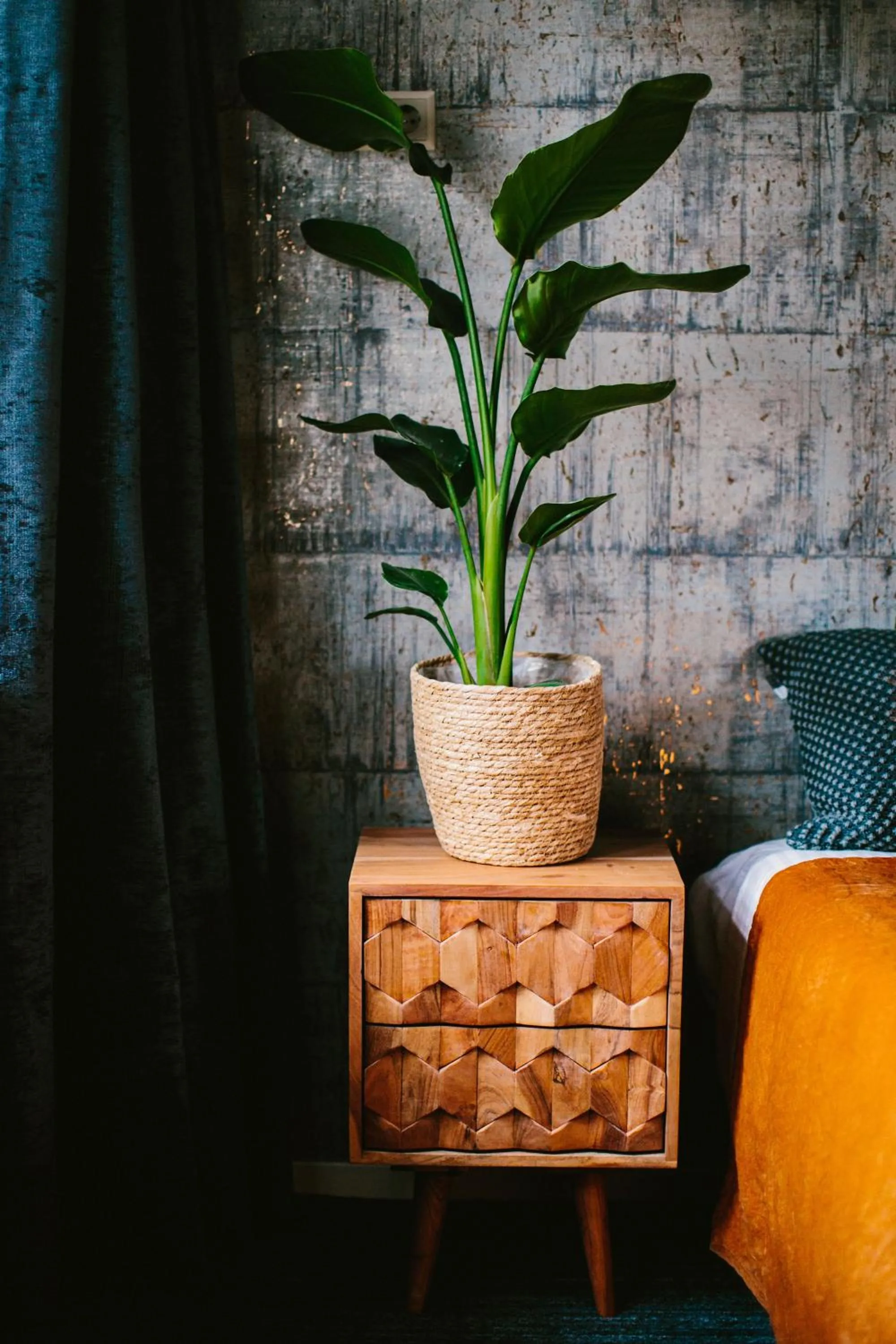 Boutique Hotel de Drentse Liefde