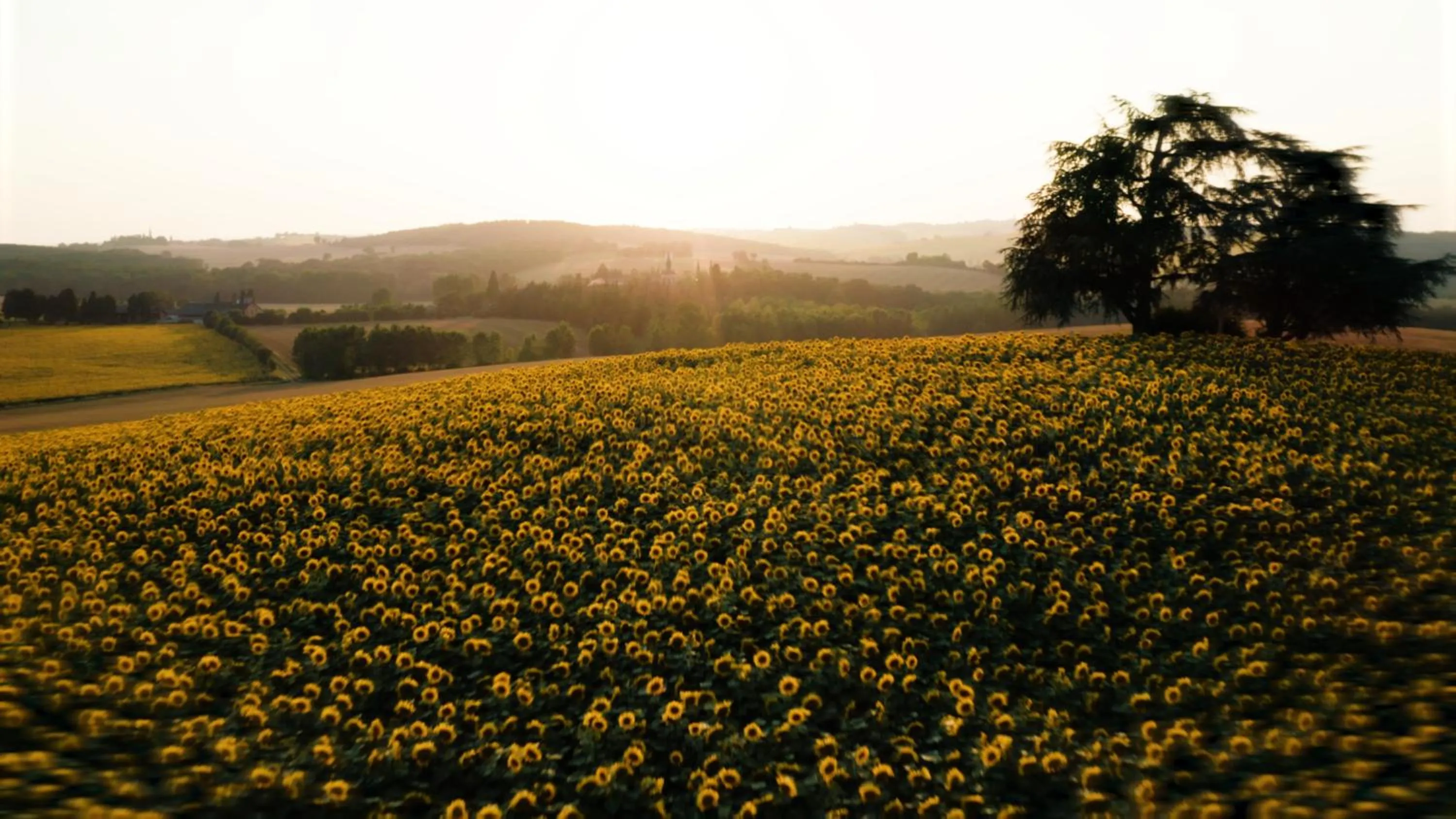 View (from property/room) in Hotellerie de l'Abbaye du Désert