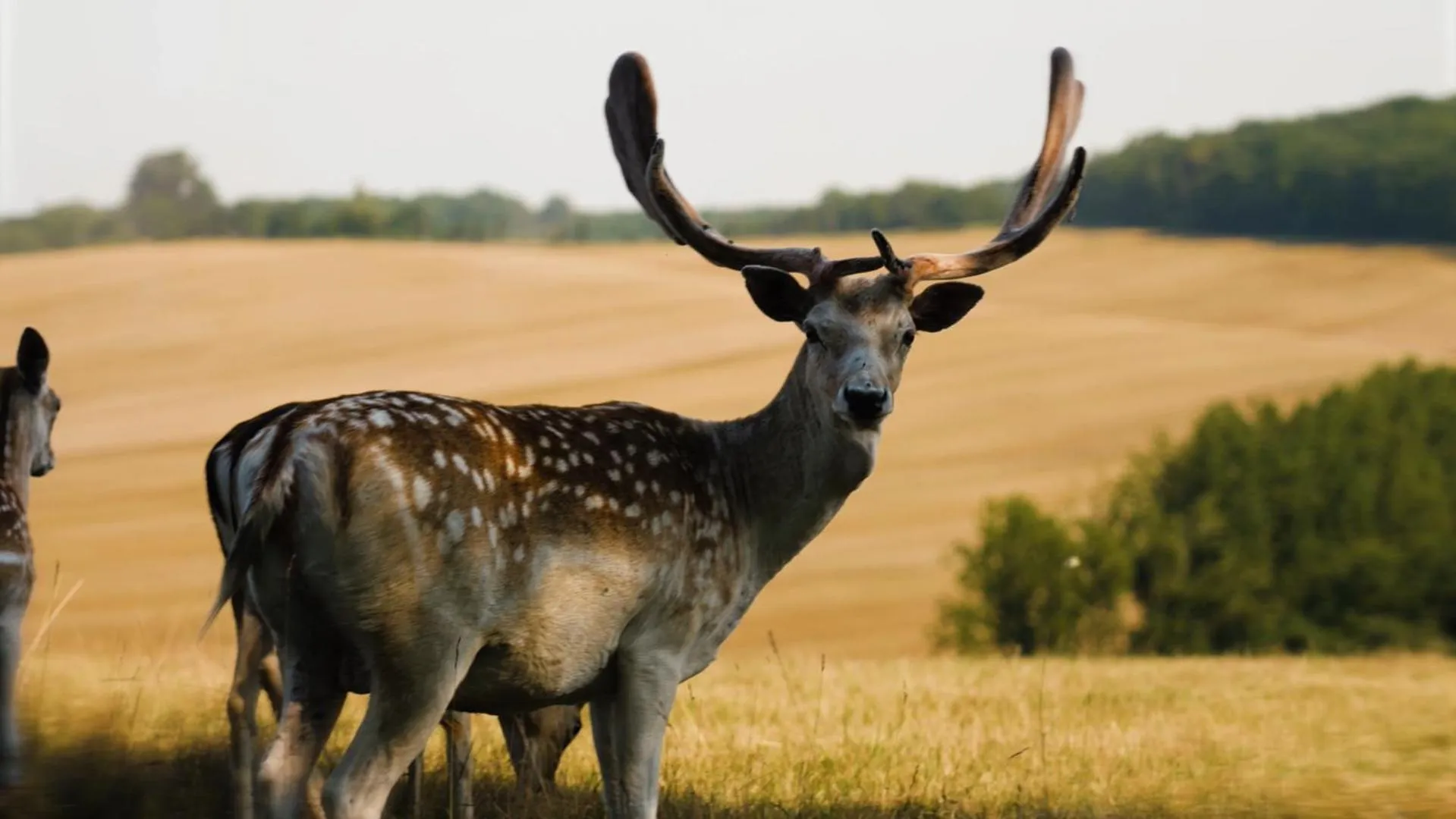 Nearby landmark in Hotellerie de l'Abbaye du Désert