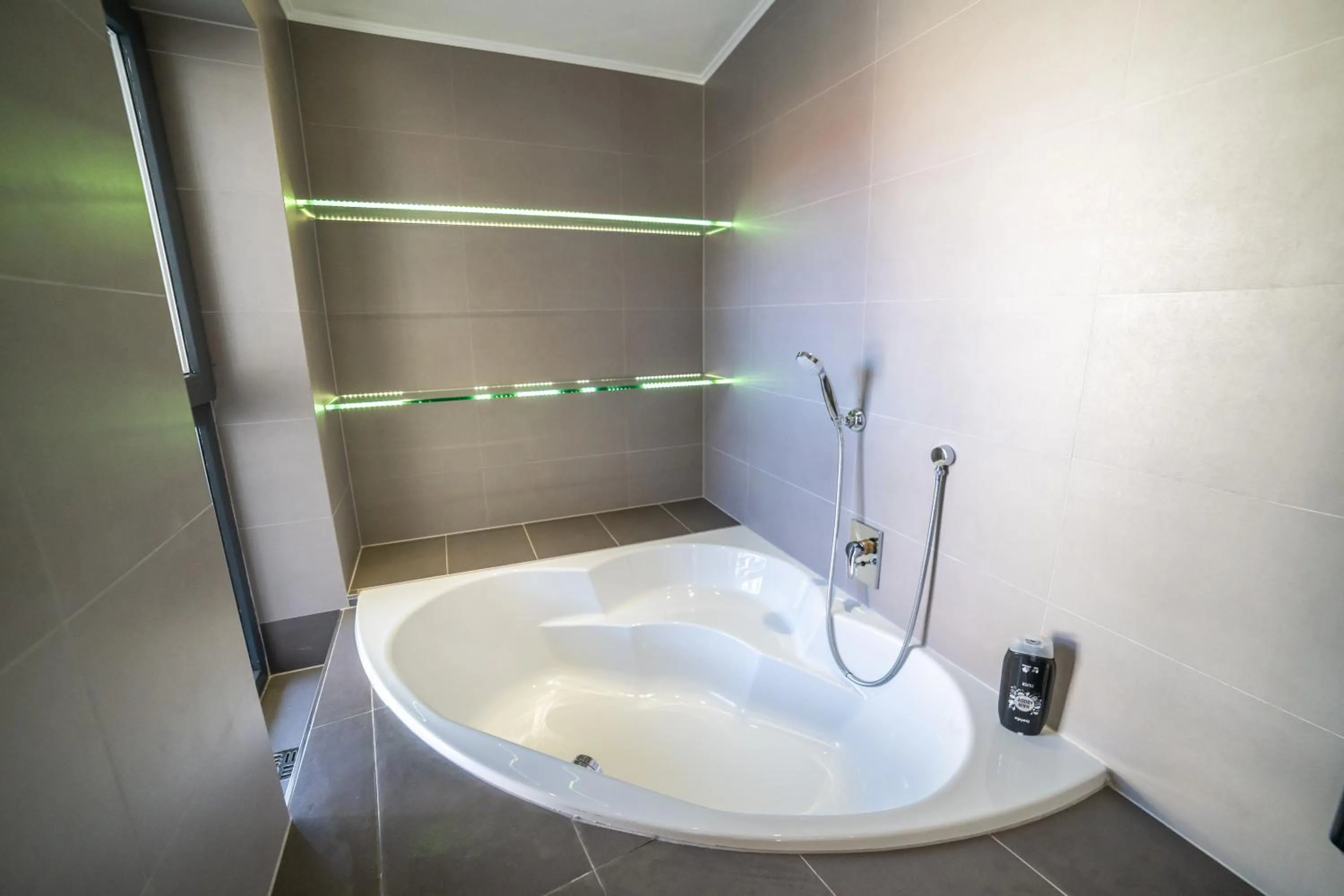 Bath in Hotel Plzeň