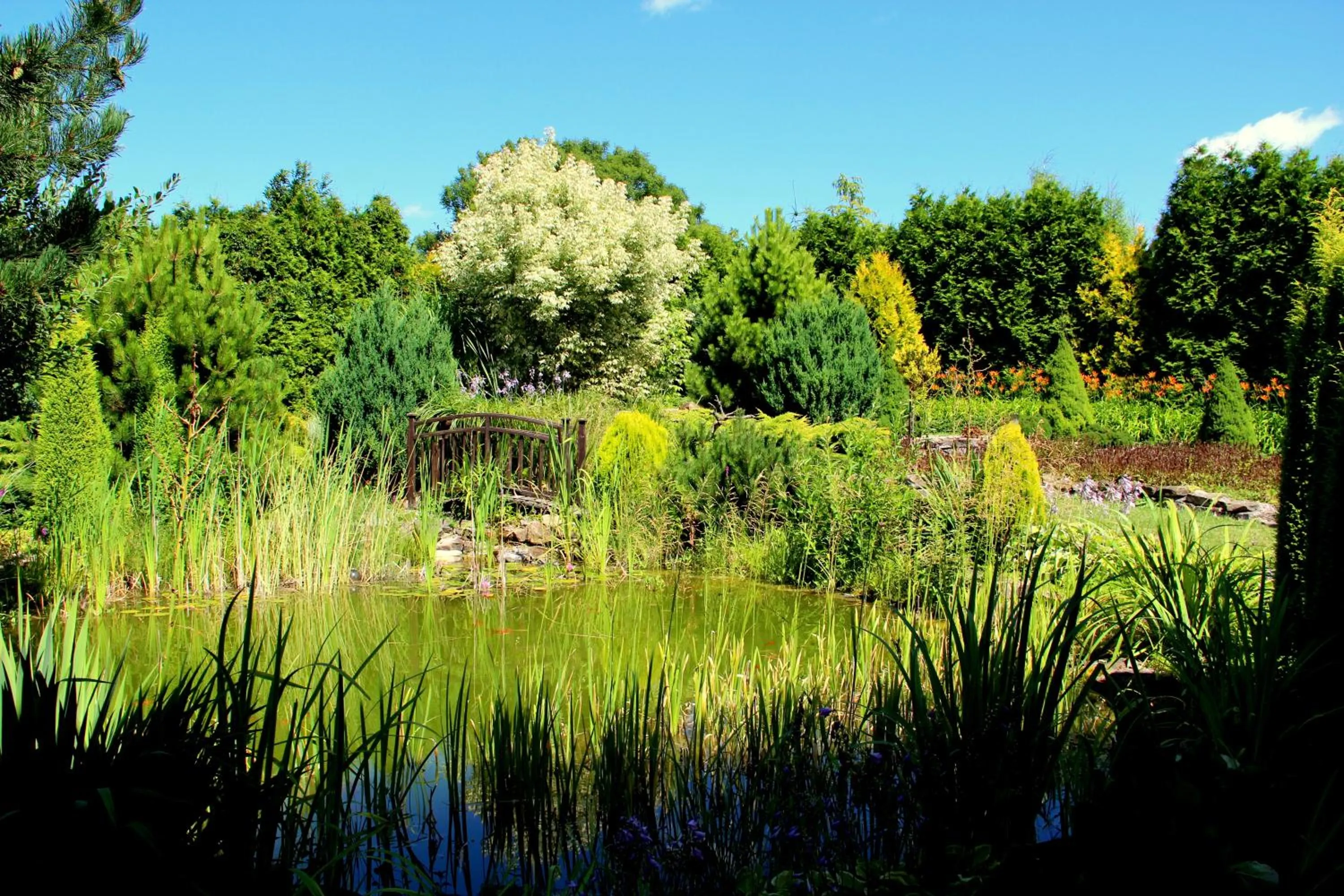 Natural landscape in Zajazd Gościniec