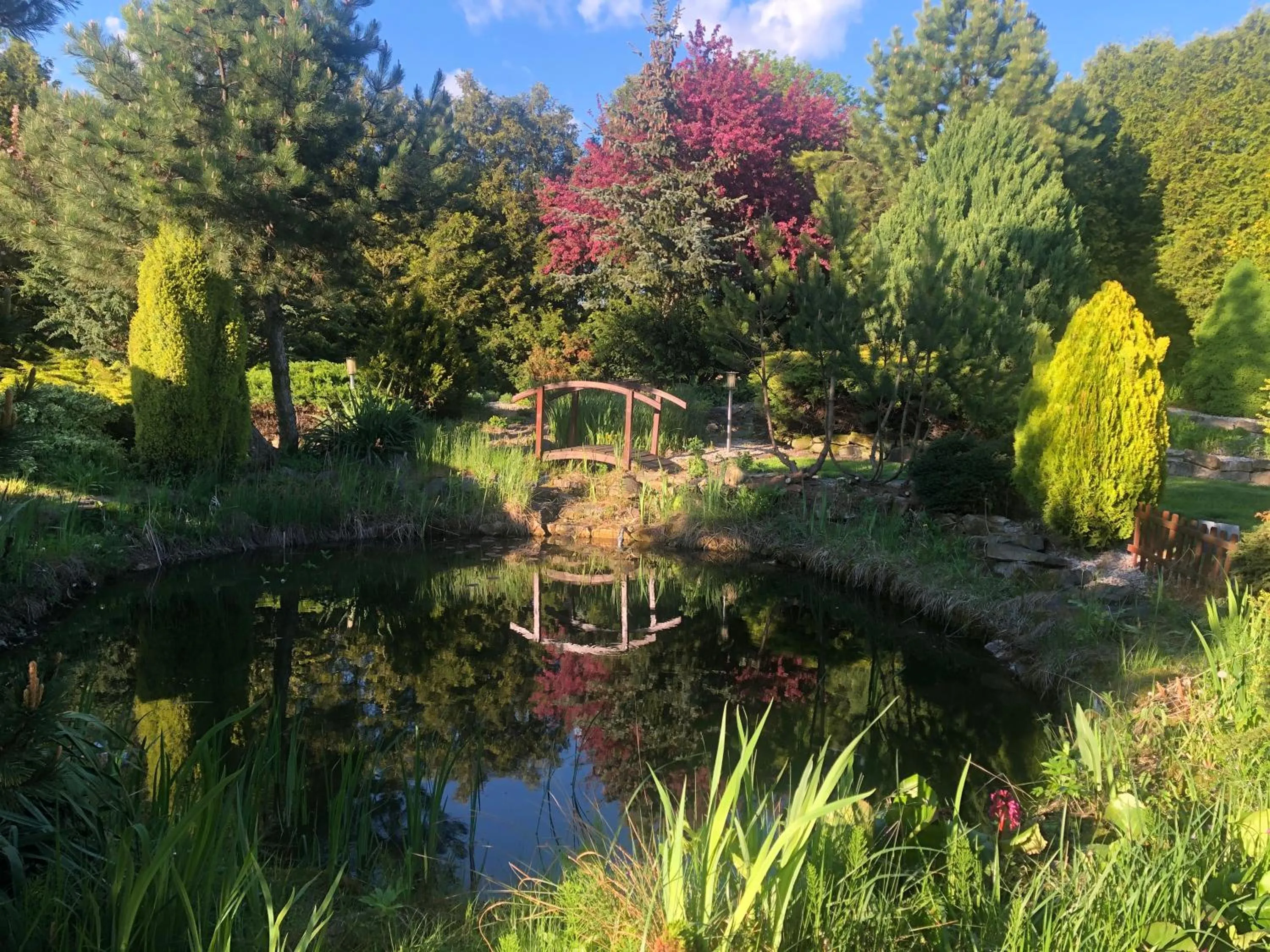 Garden in Zajazd Gościniec