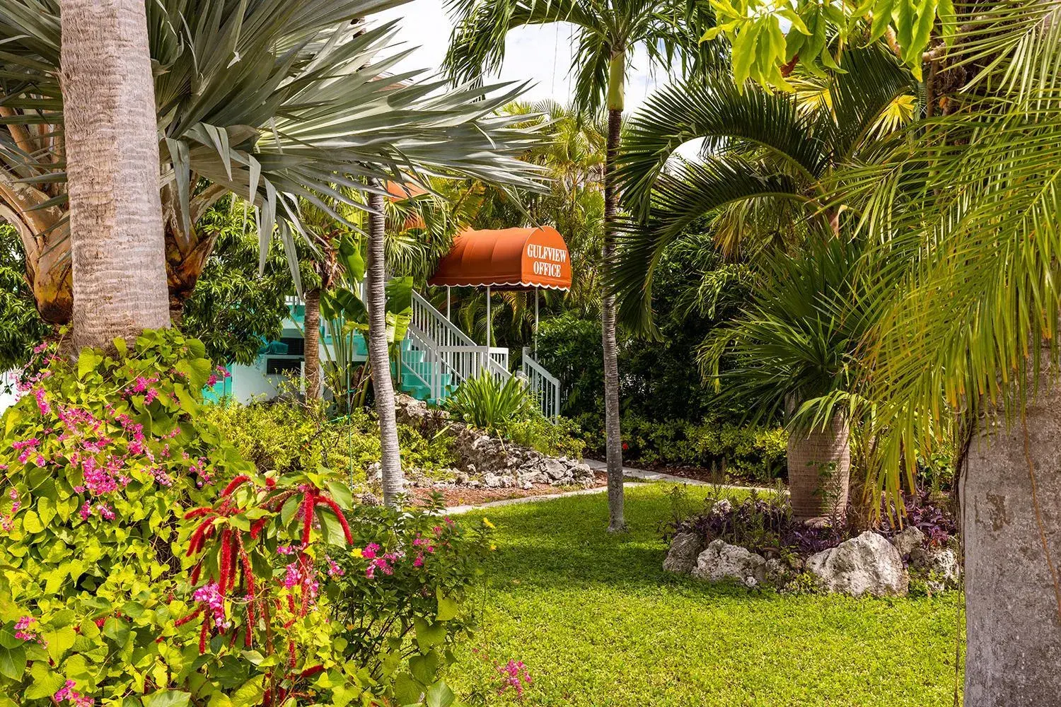 Natural landscape in Gulf View Waterfront Resort Natural landscape in Gulf View Waterfront Resort