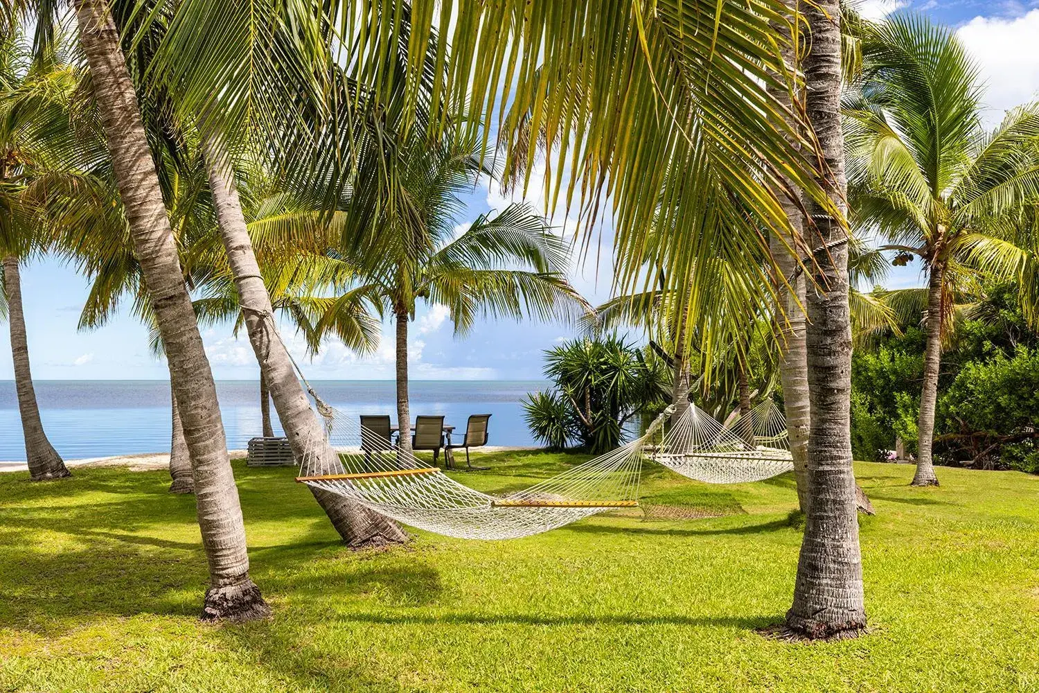 Natural landscape in Gulf View Waterfront Resort Natural landscape in Gulf View Waterfront Resort