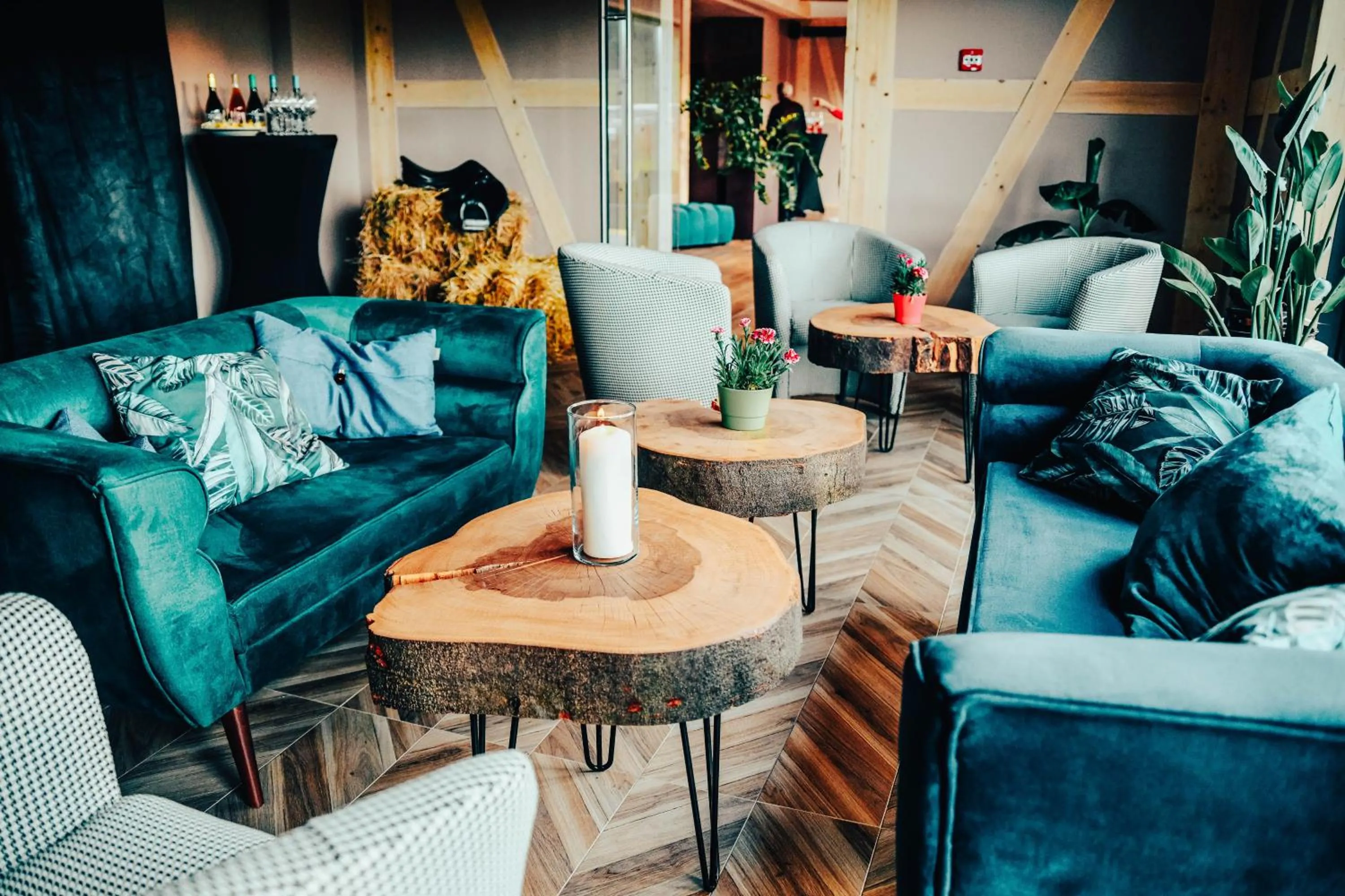 Restaurant/places to eat in Hotel Jedlinka