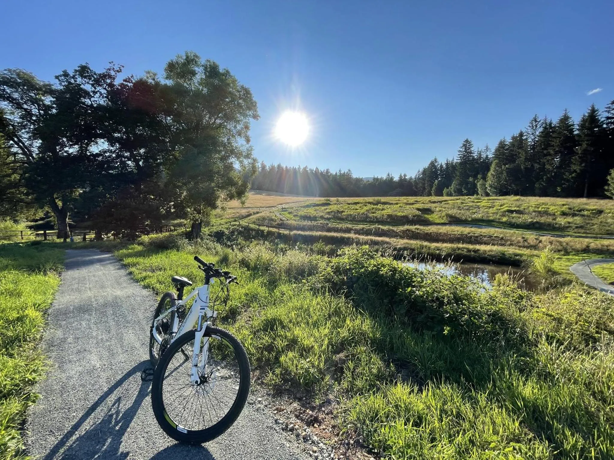 Cycling in Hotel Jedlinka