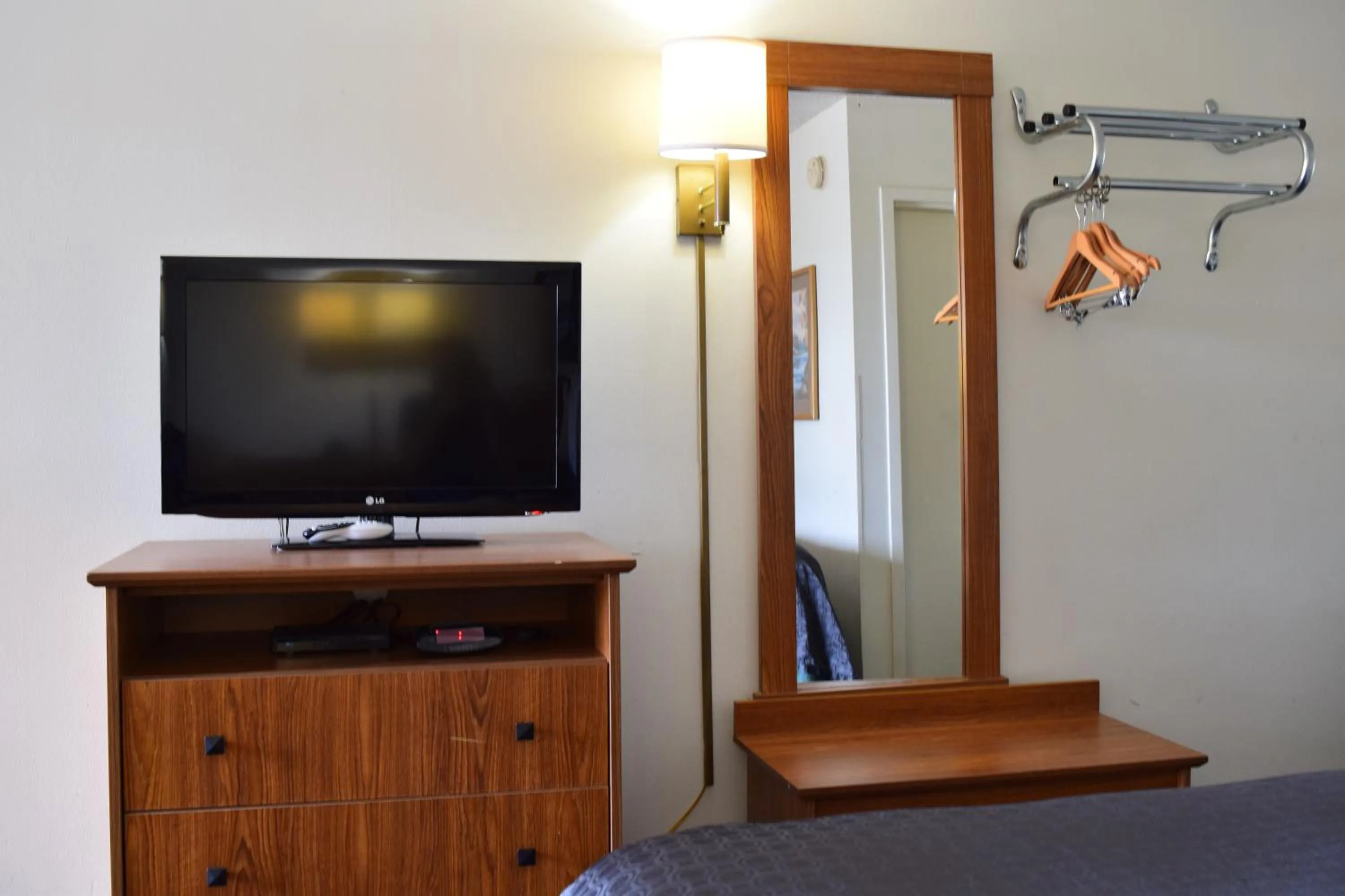 TV and multimedia in Value Inn - Livonia