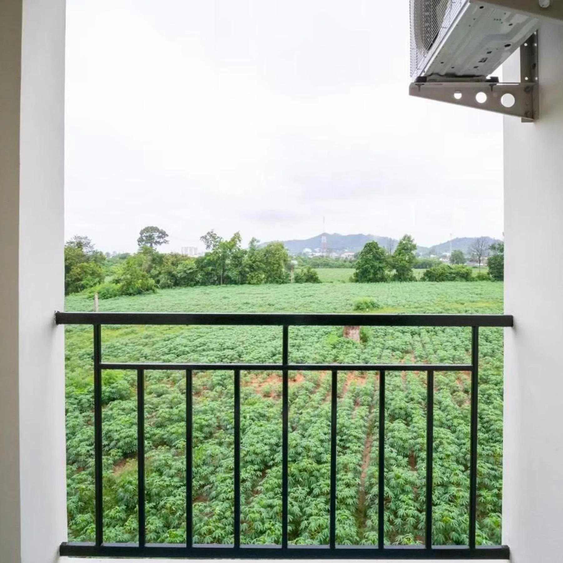 Garden view in Ek Residence Banchang City