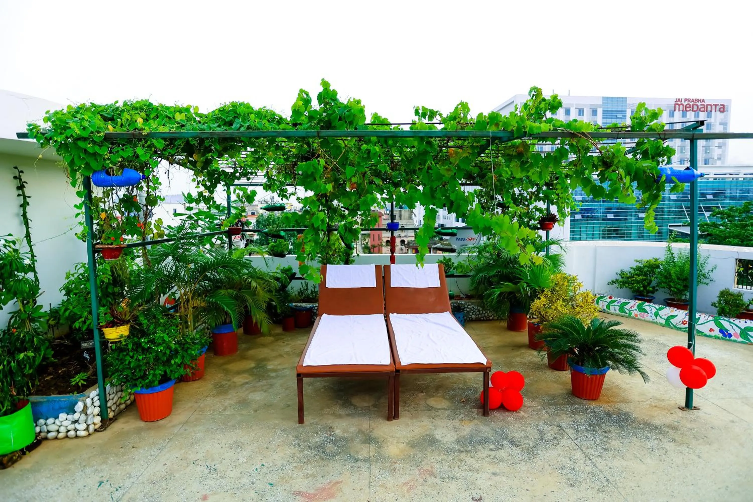 Garden in Hotel Virasat Retreat