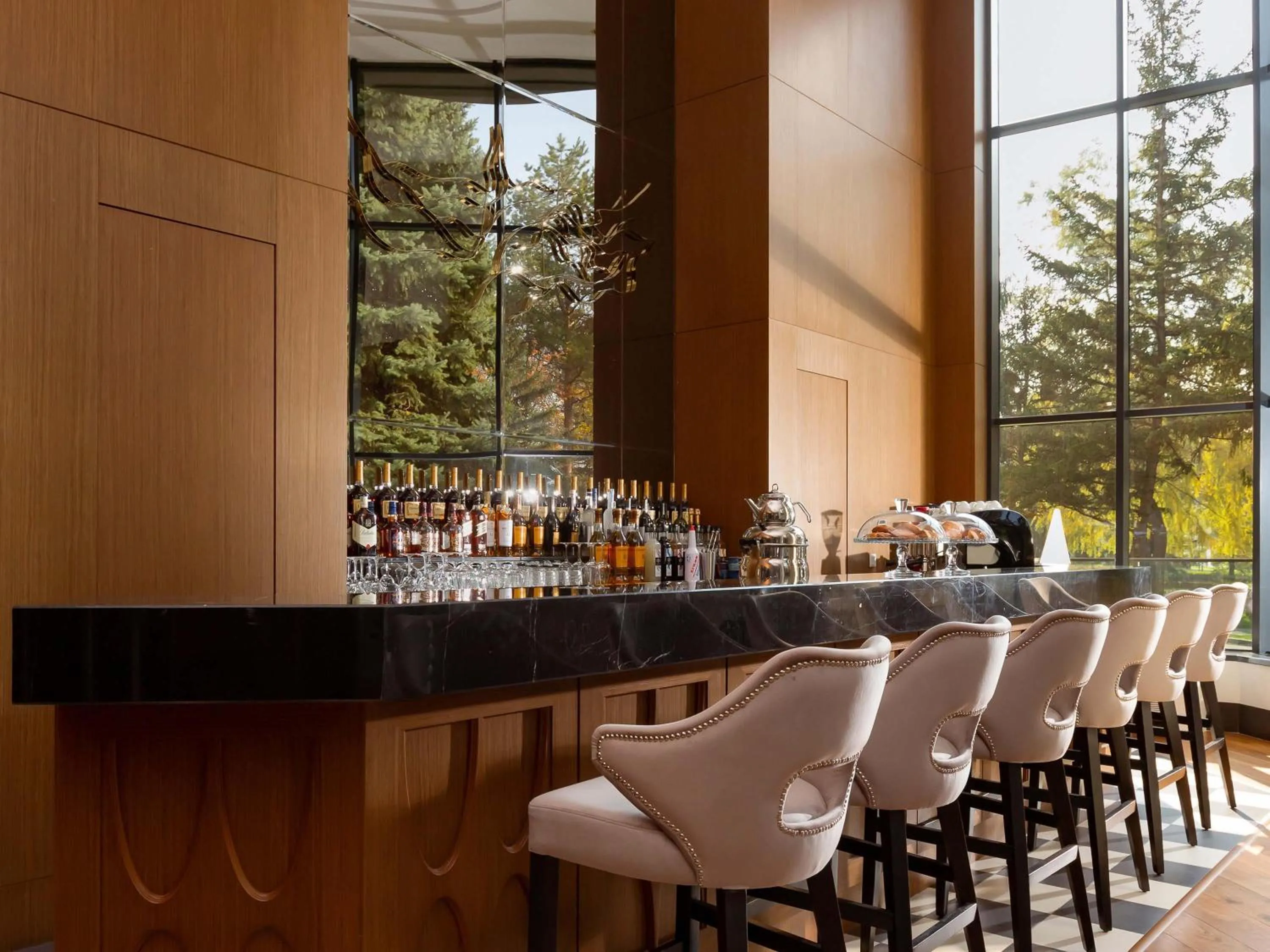 Lounge or bar in Swissôtel Wellness Resort Alatau Almaty