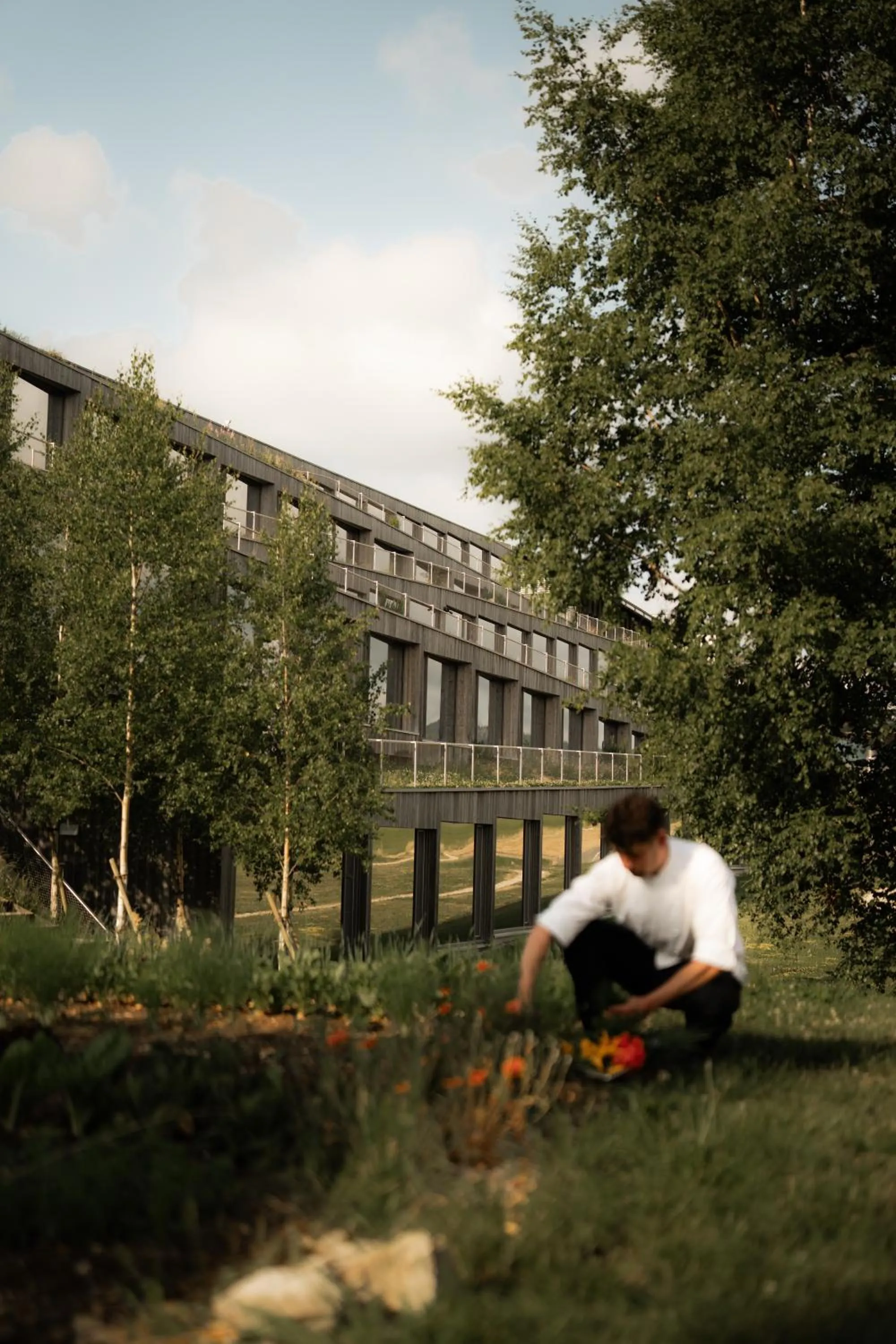 Food in Hôtel des Horlogers