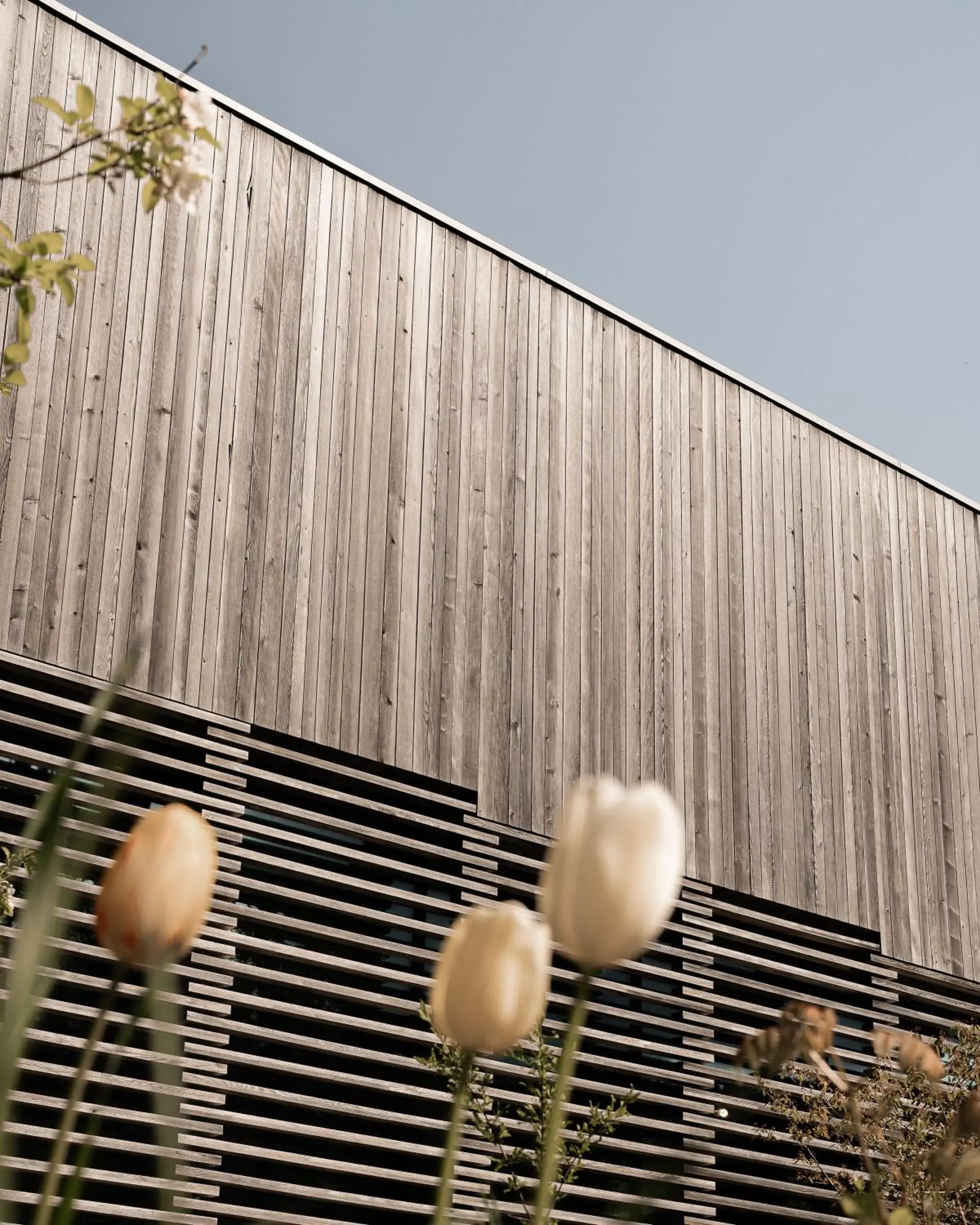 Property building in Hôtel des Horlogers Property building in Hôtel des Horlogers