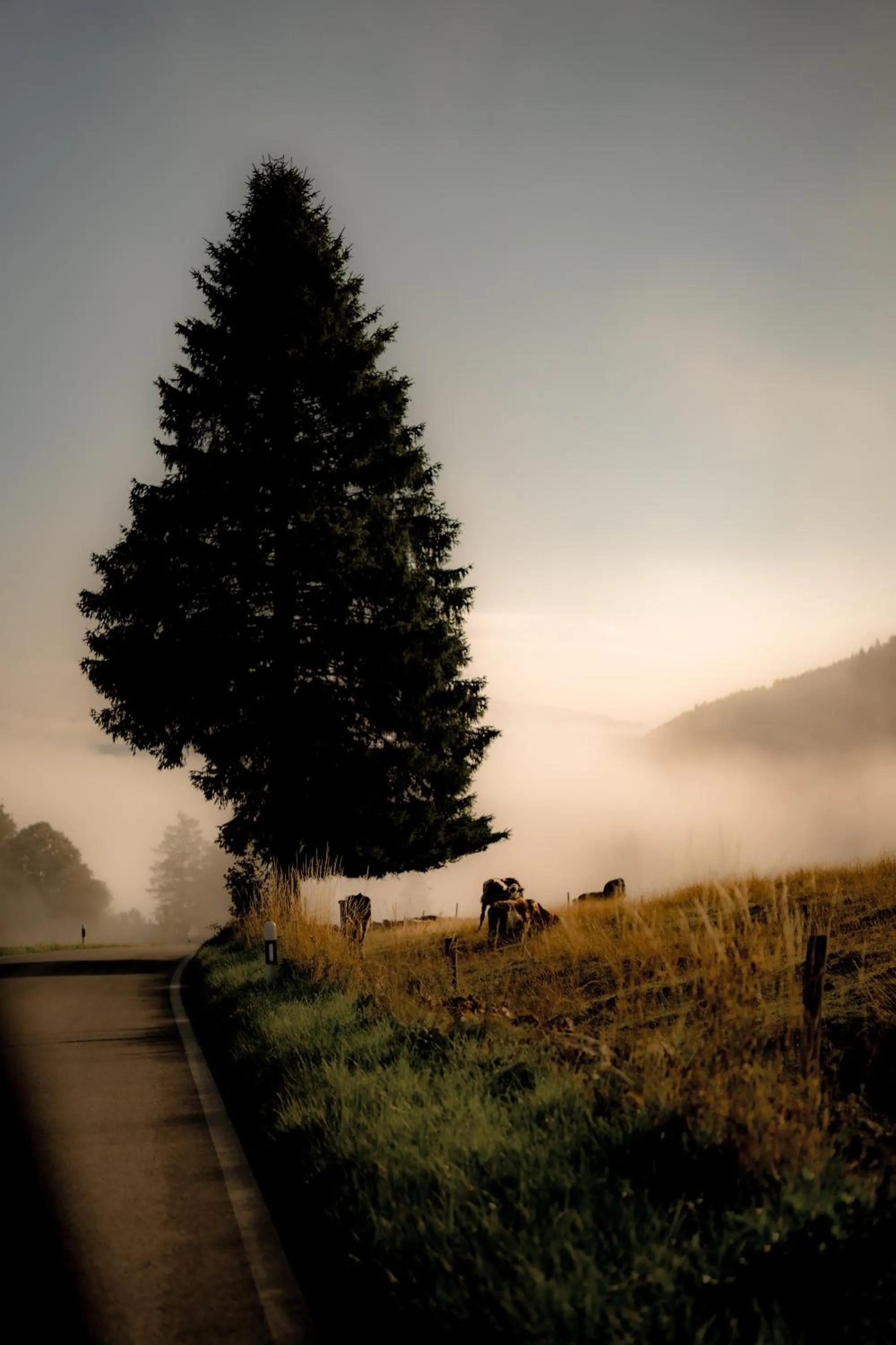 Natural landscape in Hôtel des Horlogers