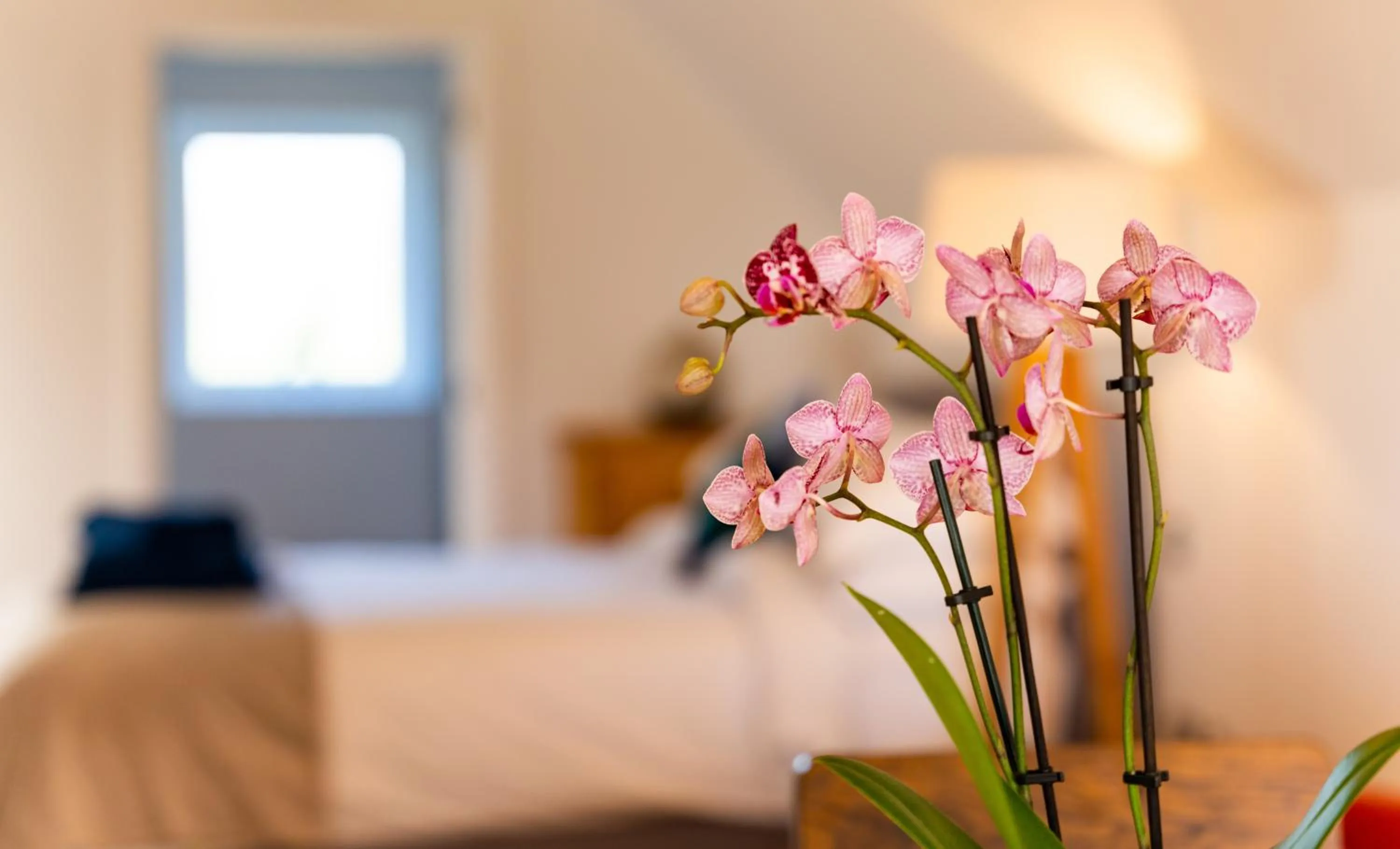 Bed in Rivendell Park