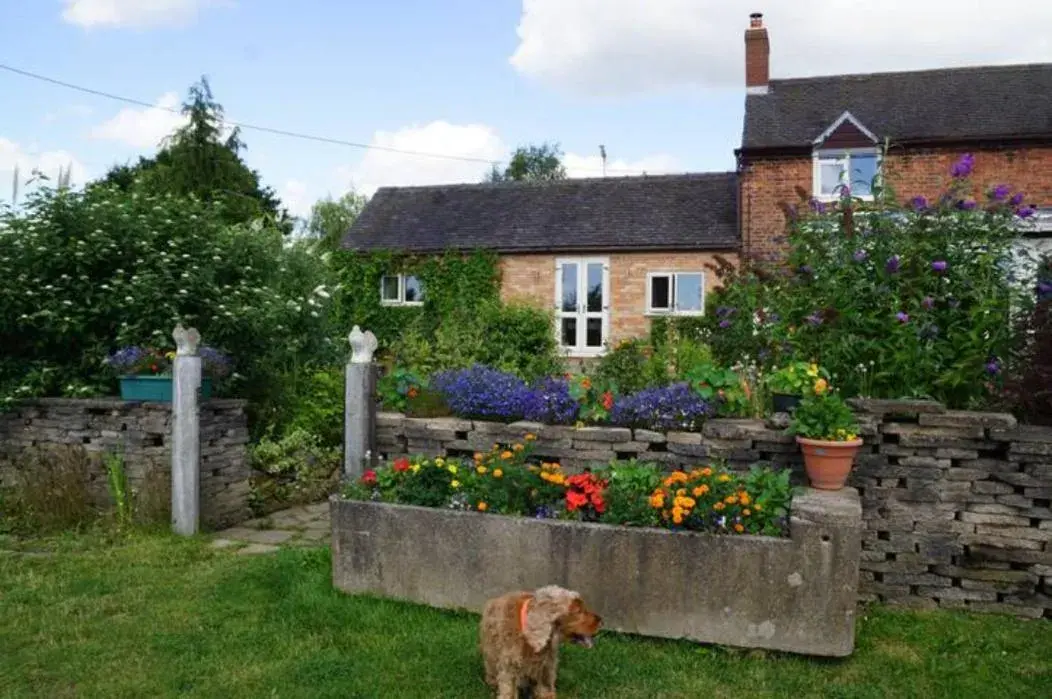 Stag Cottage Stag Cottage