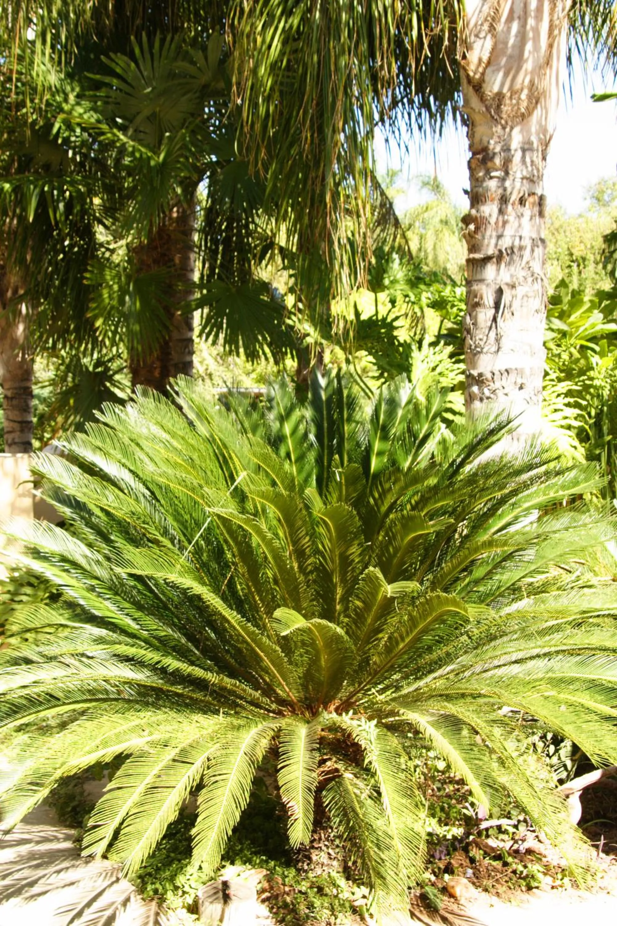 Garden in Riverbank Lodge