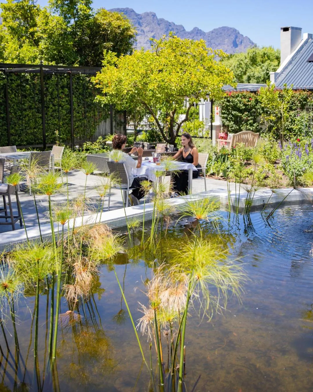 Garden in Macaron Boutique Guest House