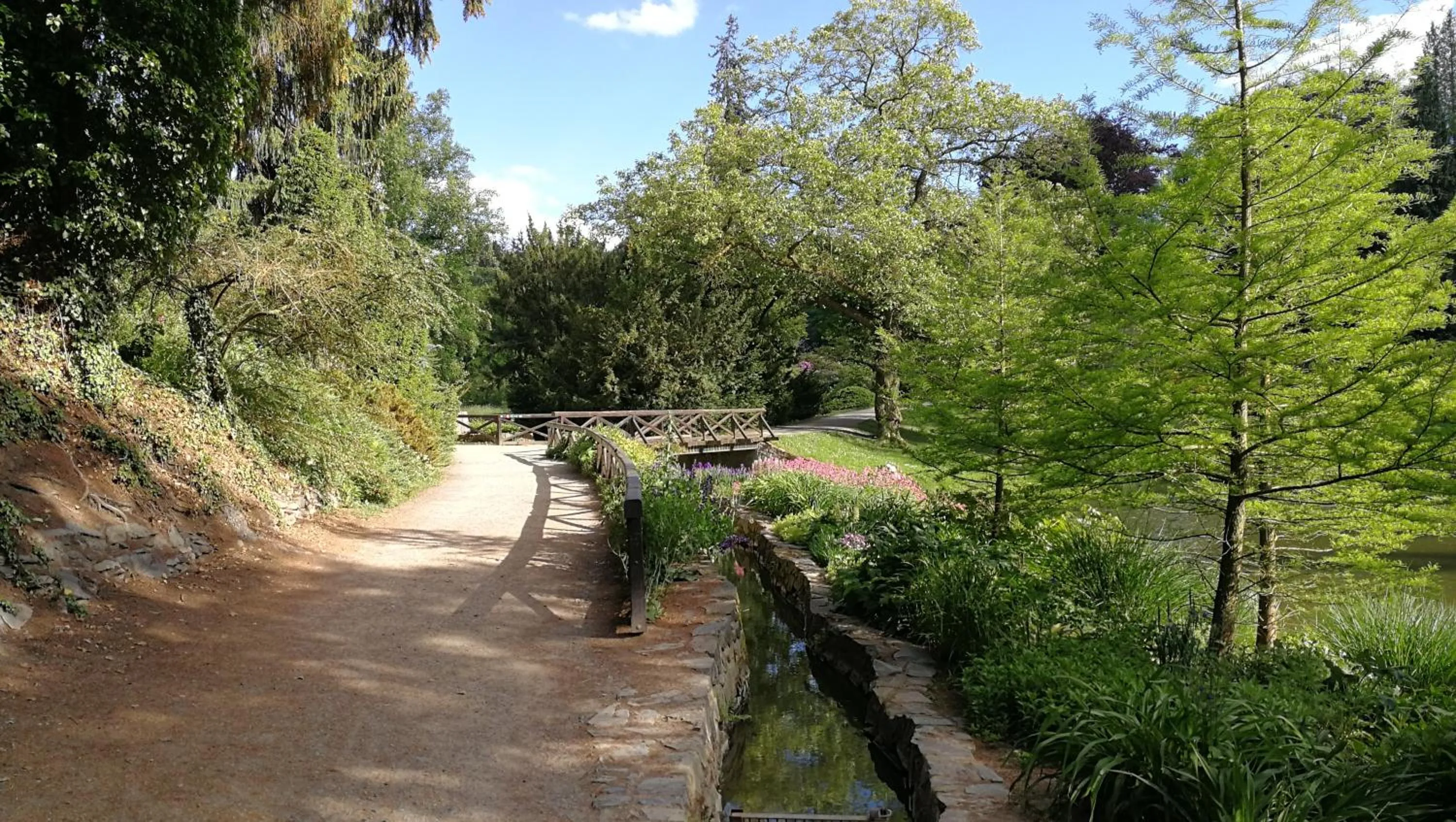 Off site in Hotel Tulipan Pruhonice