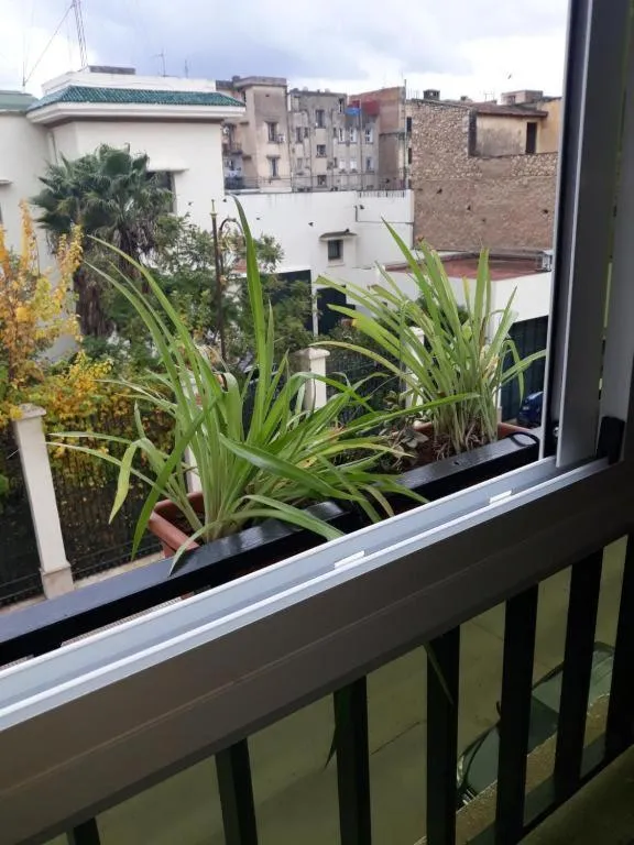 City view in Amor Hotel