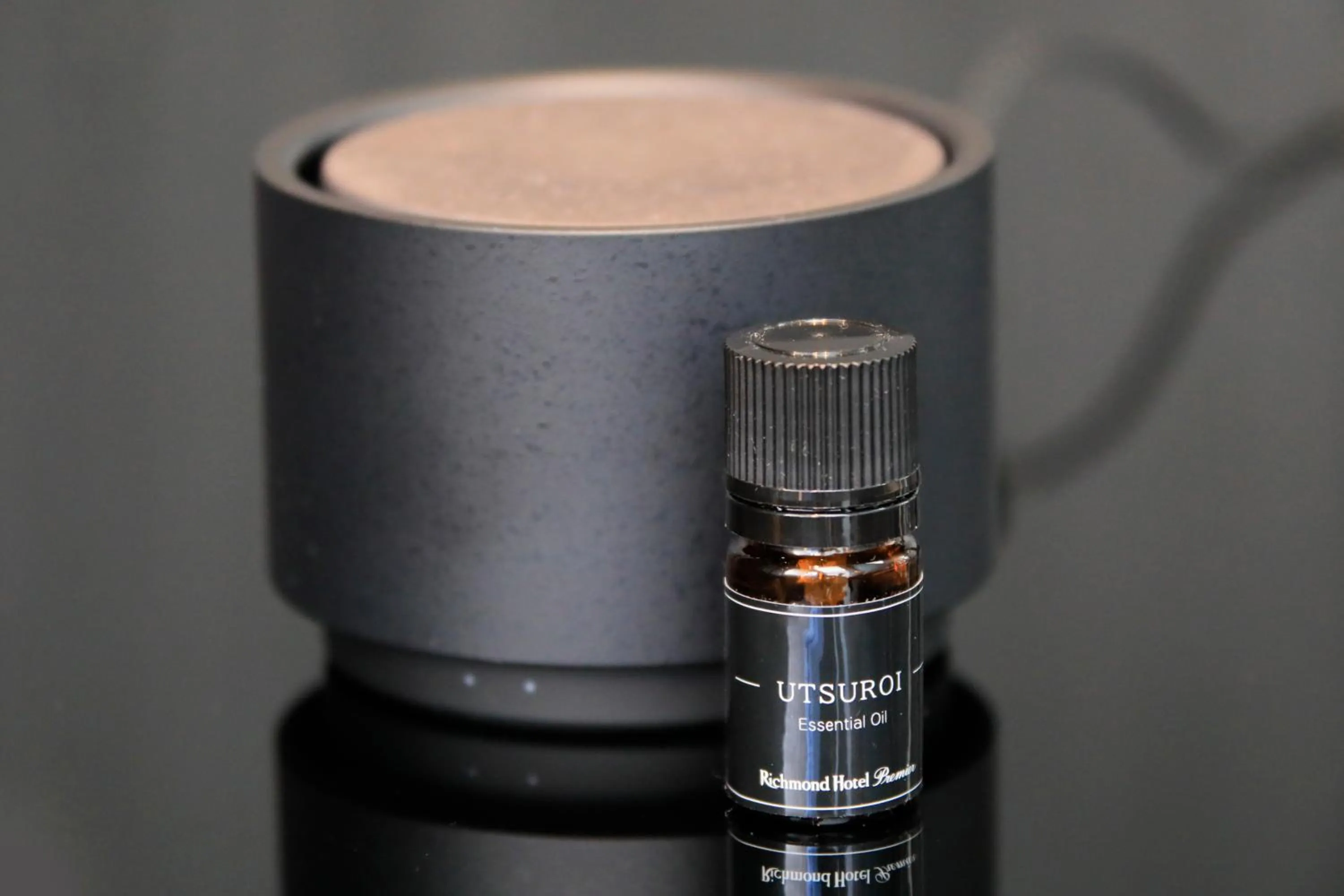 Other in Richmond Hotel Premier Kyoto Shijo