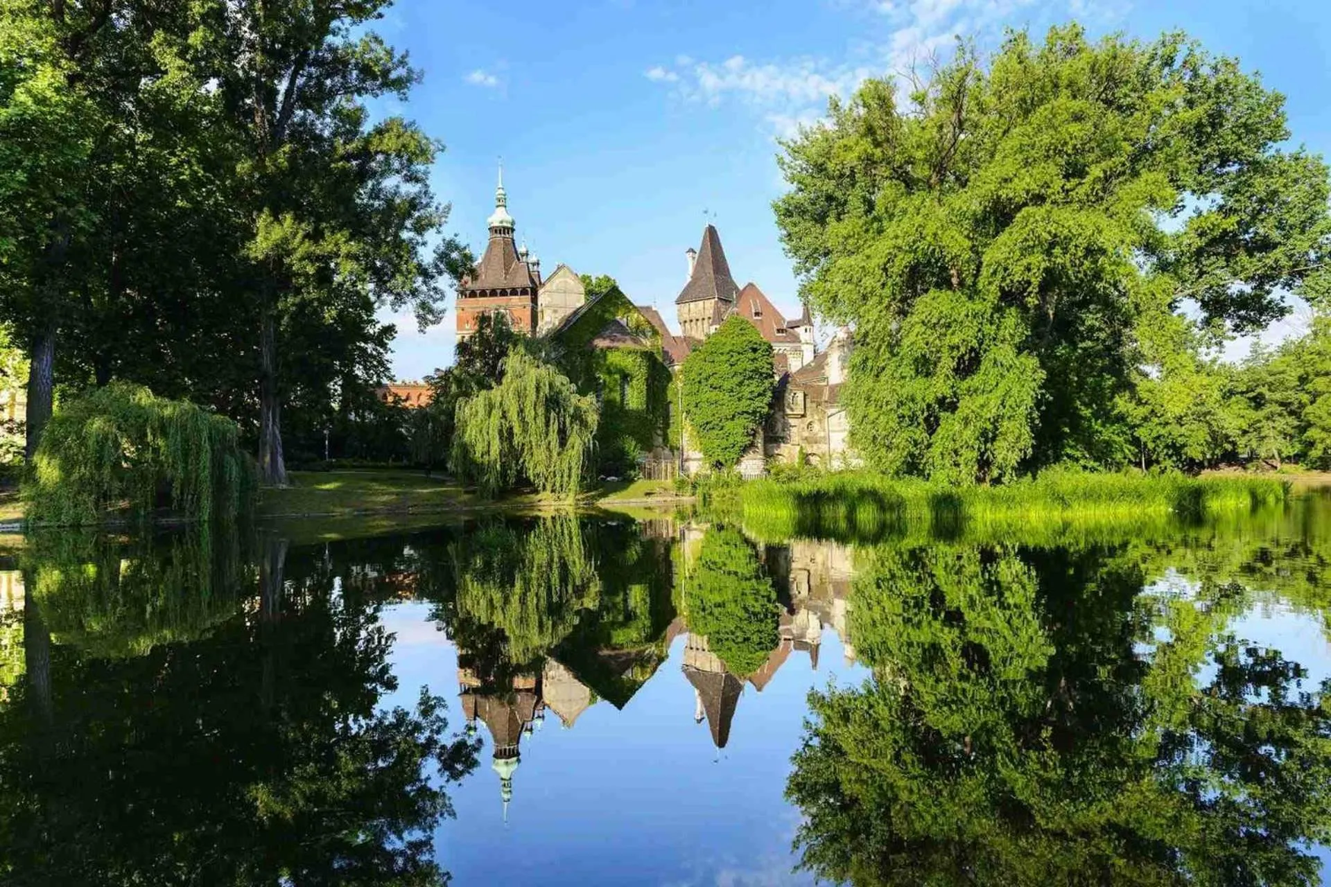 Neighbourhood in D50 Hotel