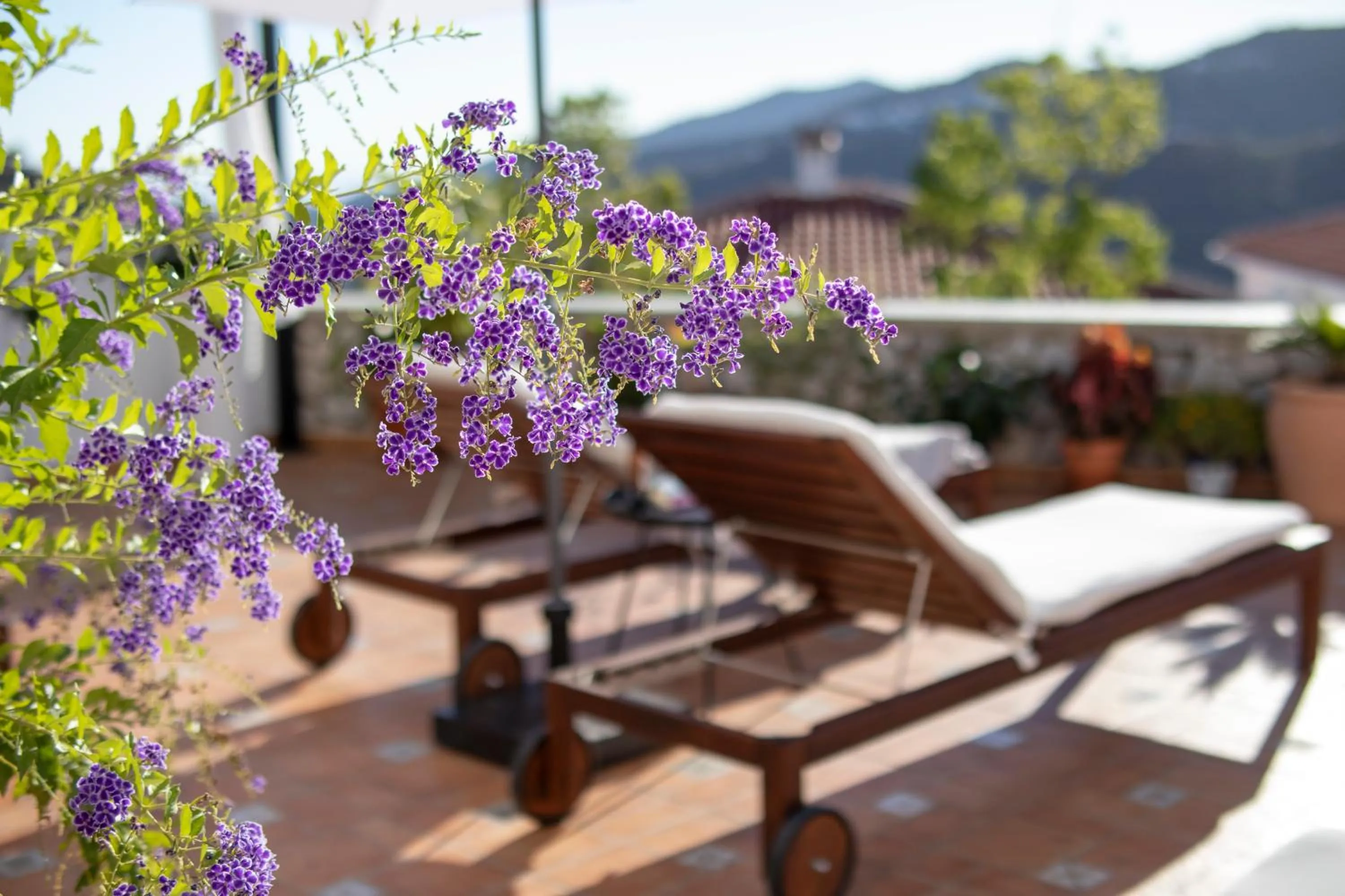 Property building in Malaga Hills Double Comfort Boutique & Wellness Eco-Hotel -Adults Only-