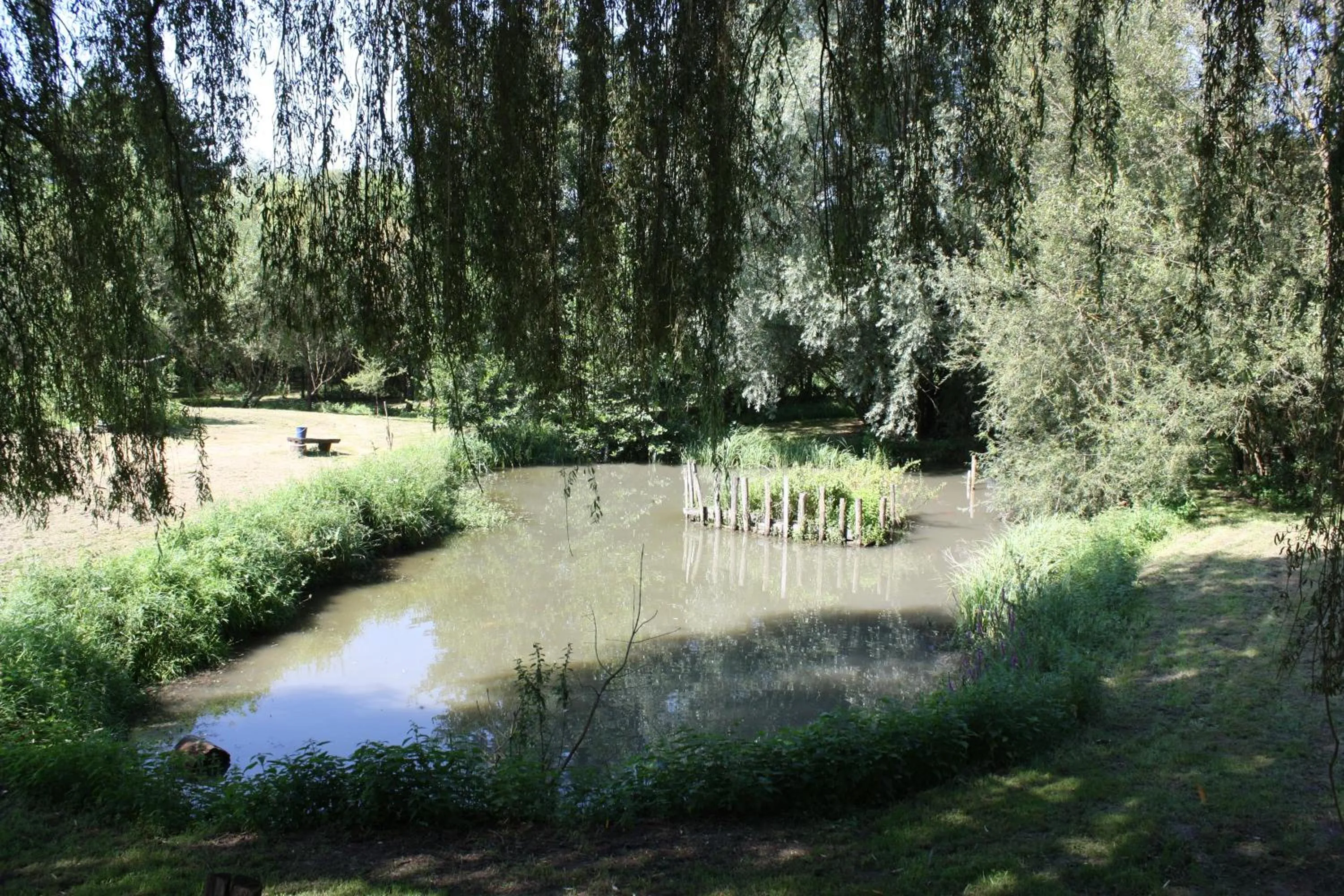 Garden in LE DOMAINE DU SENS