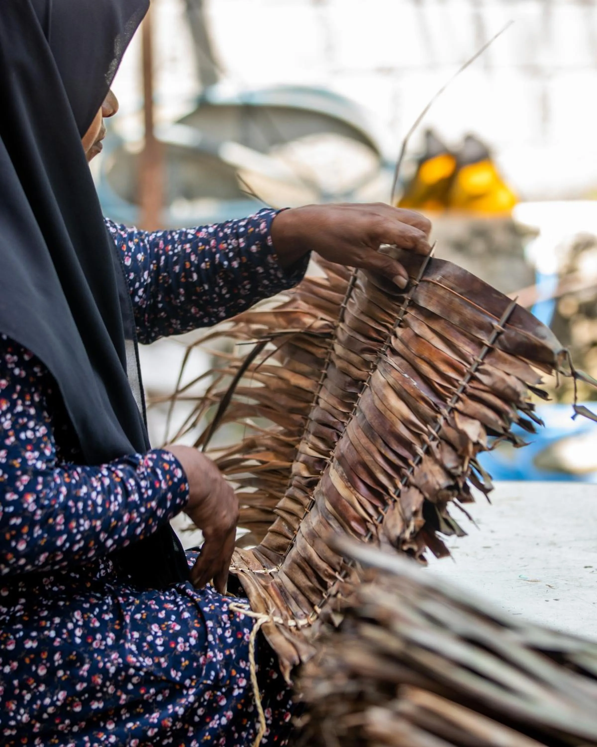 Activities in Ocean Lilly Inn