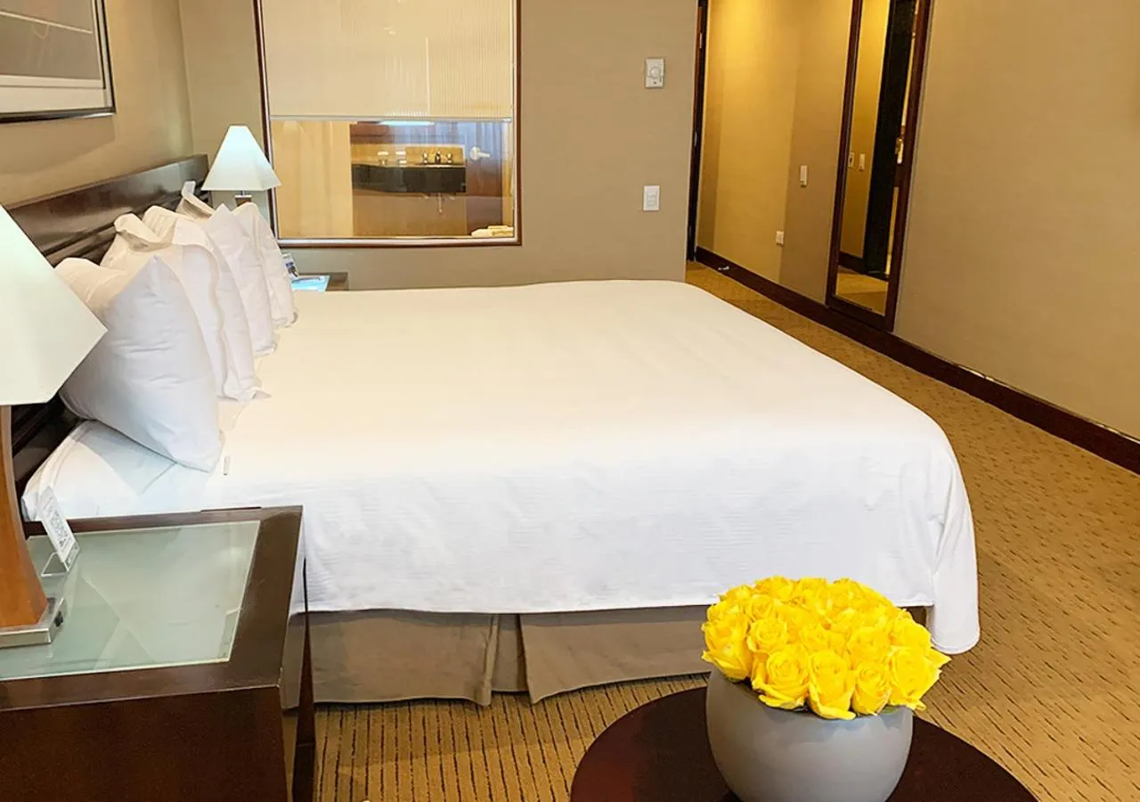View (from property/room), Bed in Eurobuilding Hotel & Suites Guayana