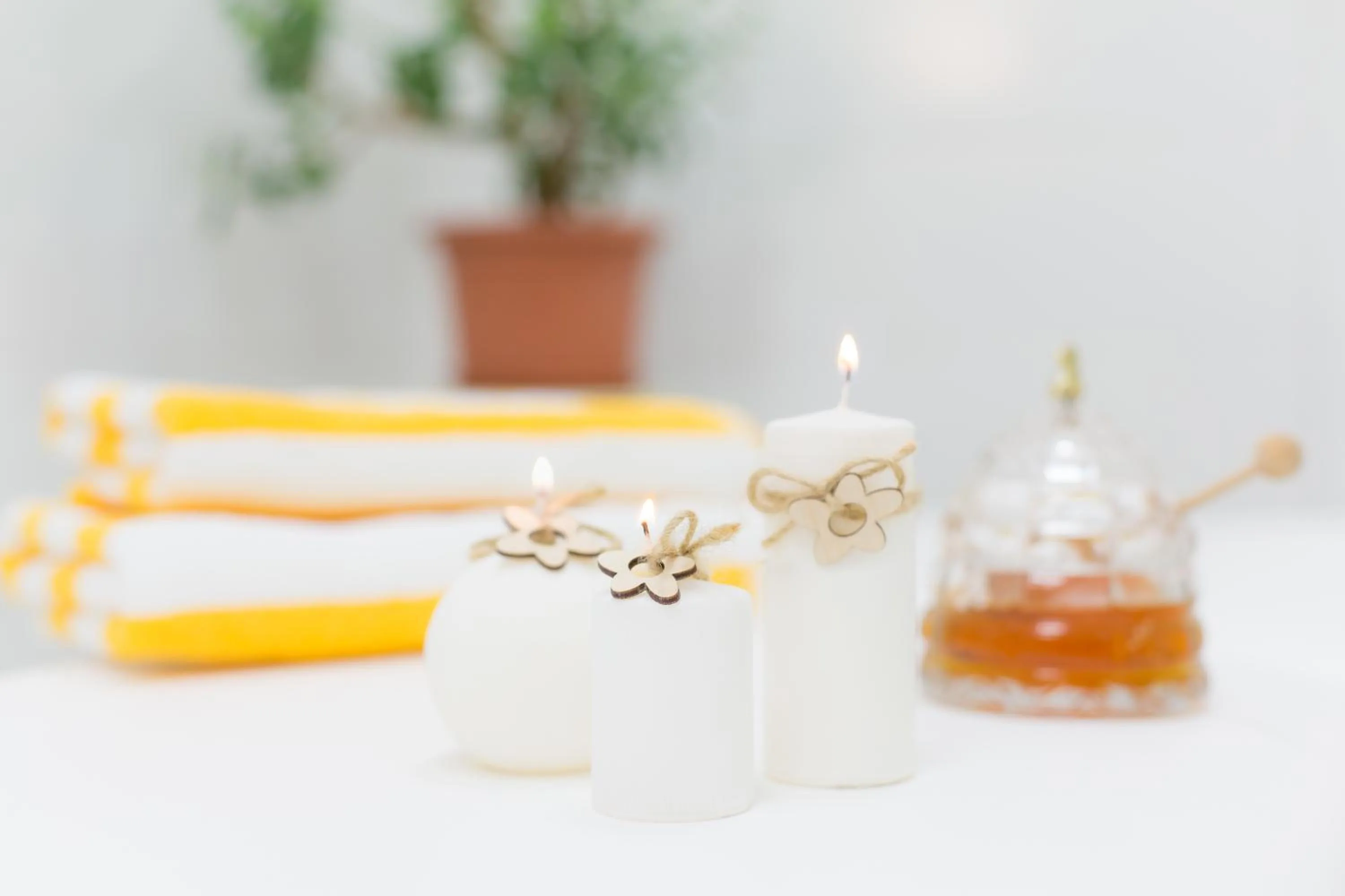 Spa and wellness centre/facilities in Hotel Palatin