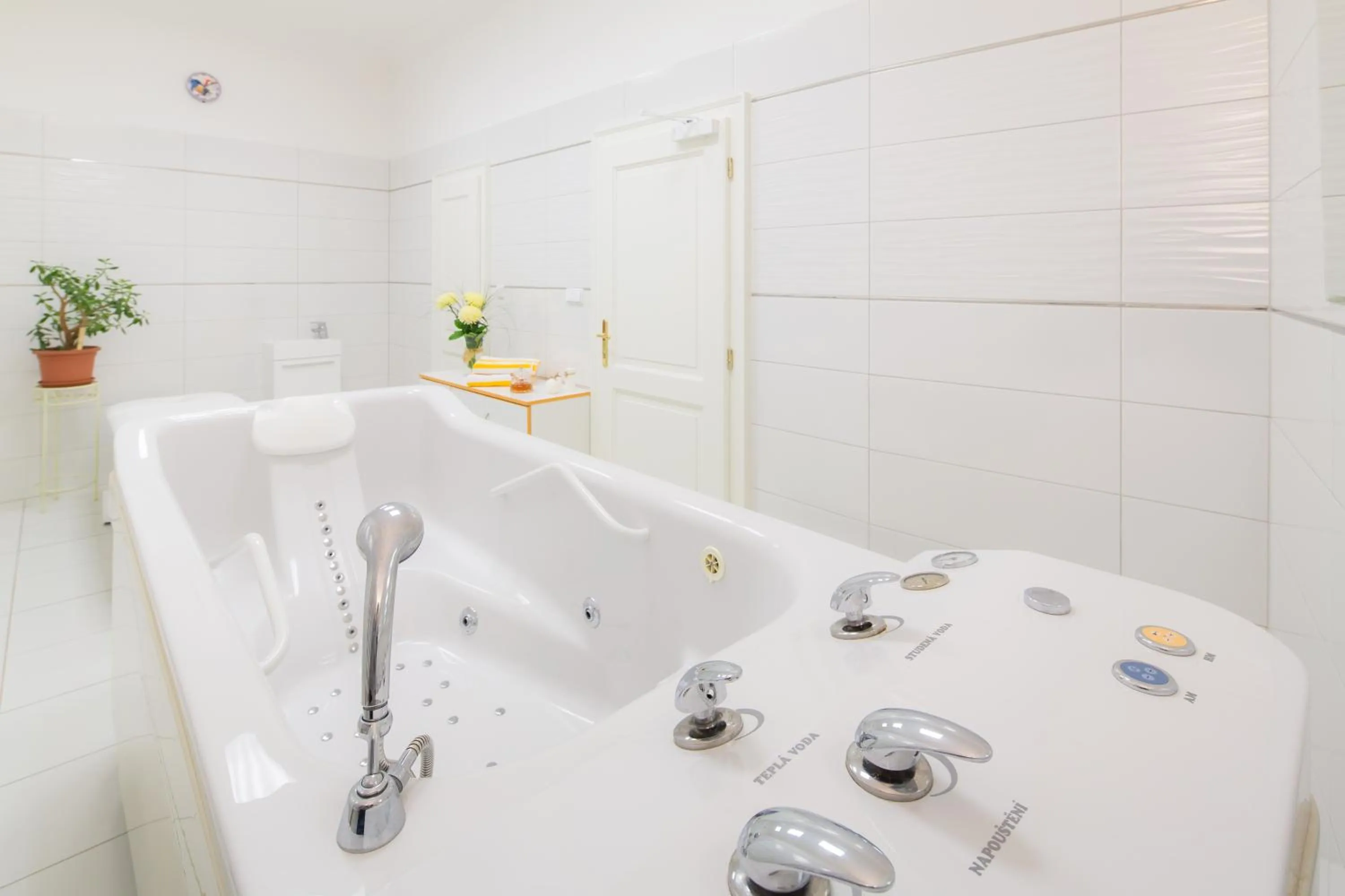 Hot Tub in Hotel Palatin