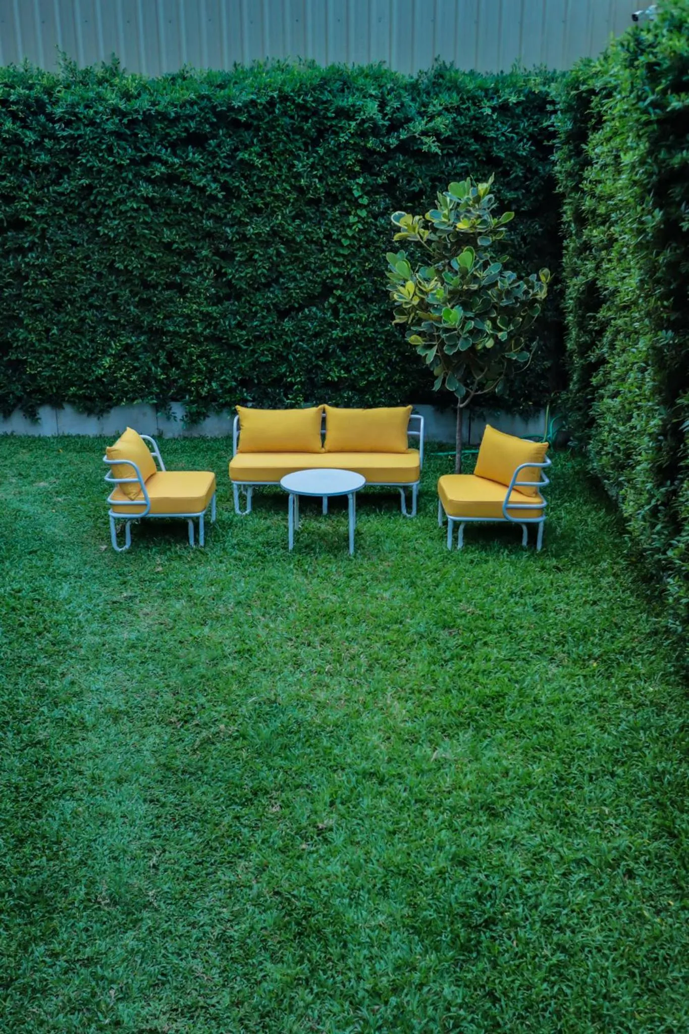 Garden in SureStay by Best Western Iconic Ari-Jatujak