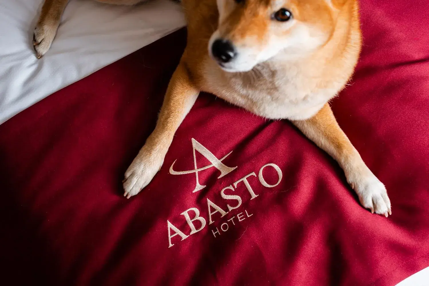 Photo of the whole room in Abasto Hotel Dachau Photo of the whole room in Abasto Hotel Dachau