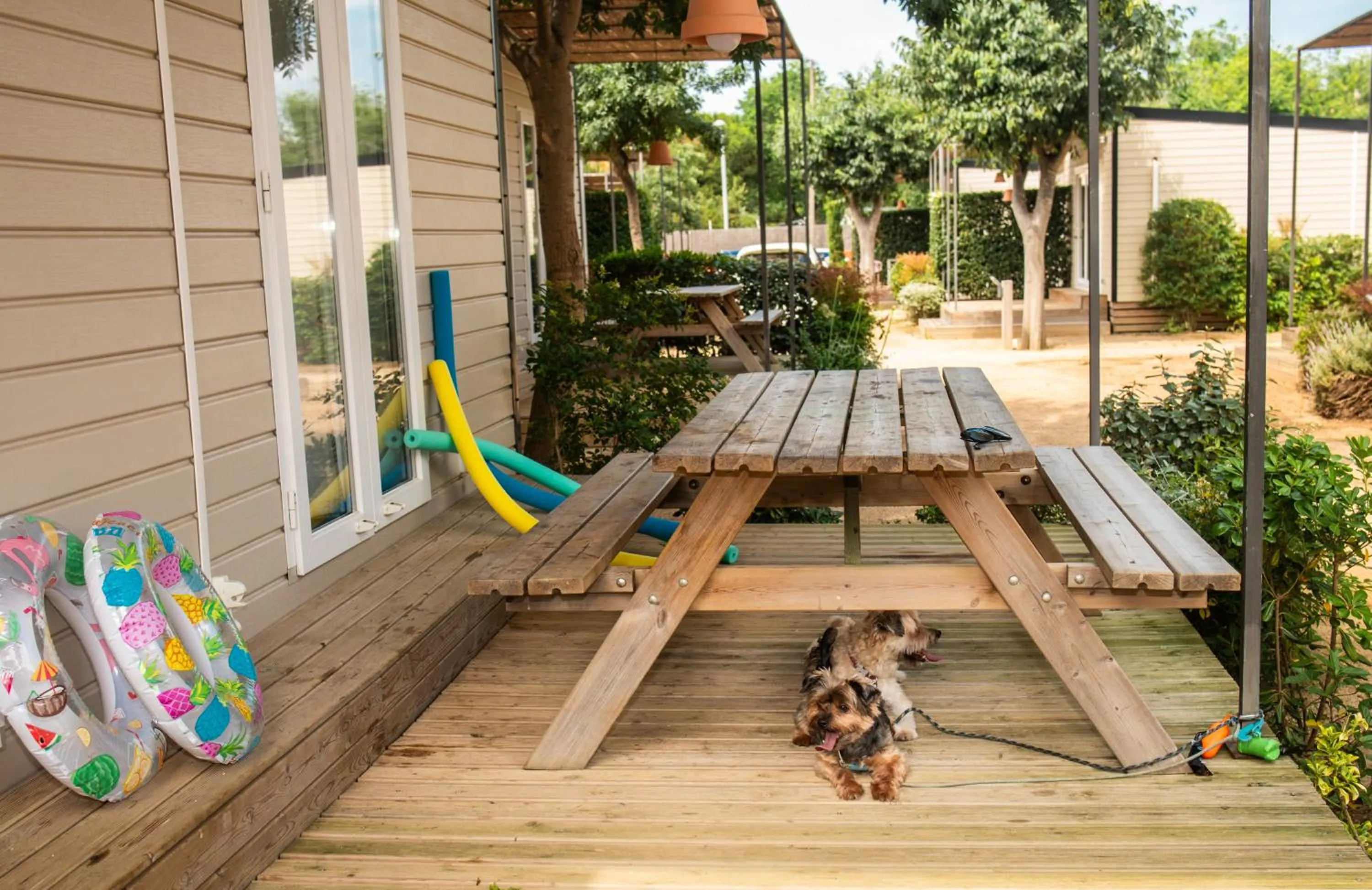 Camping Bellsol Pets