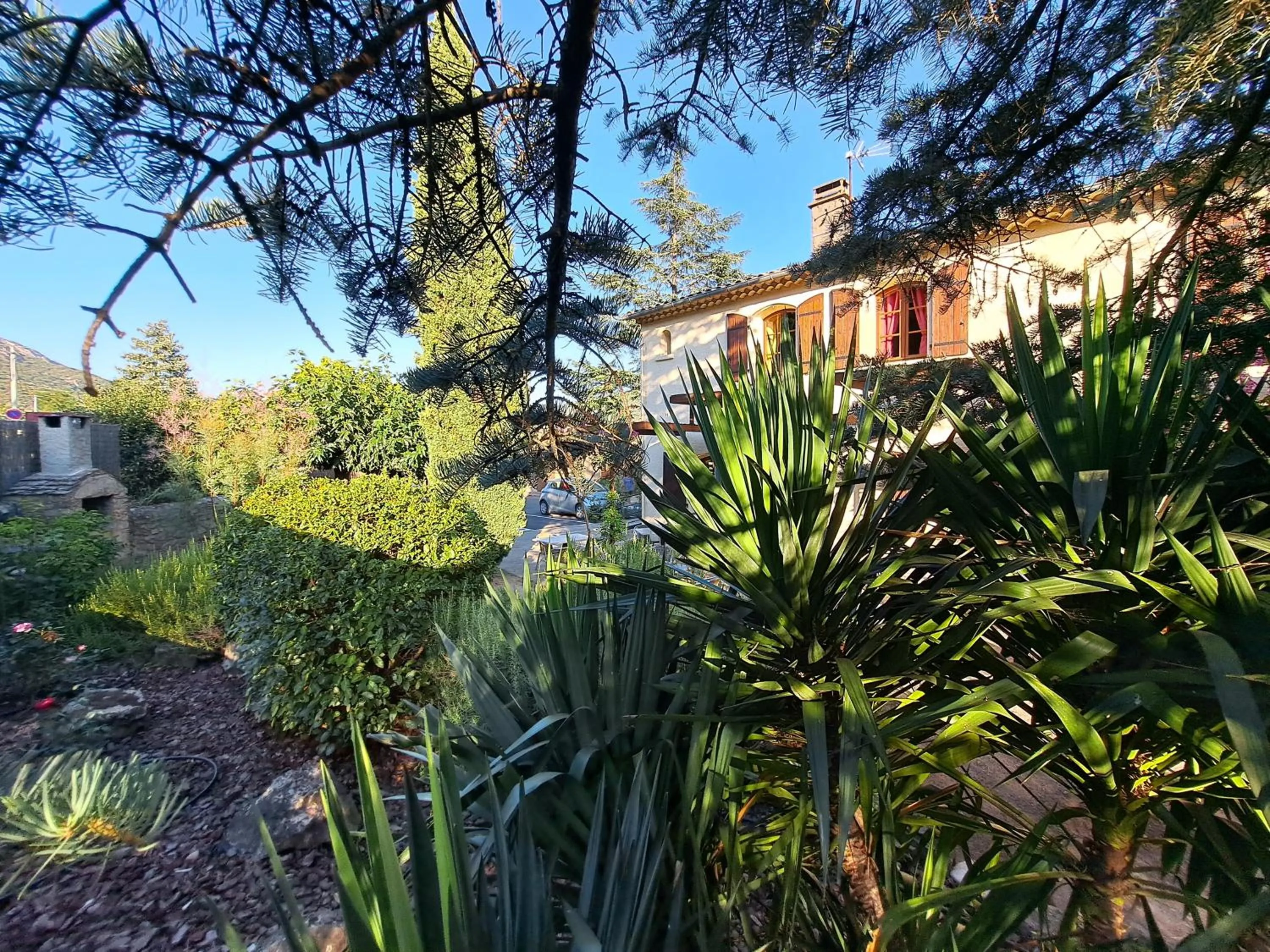 Garden in L'Interlude