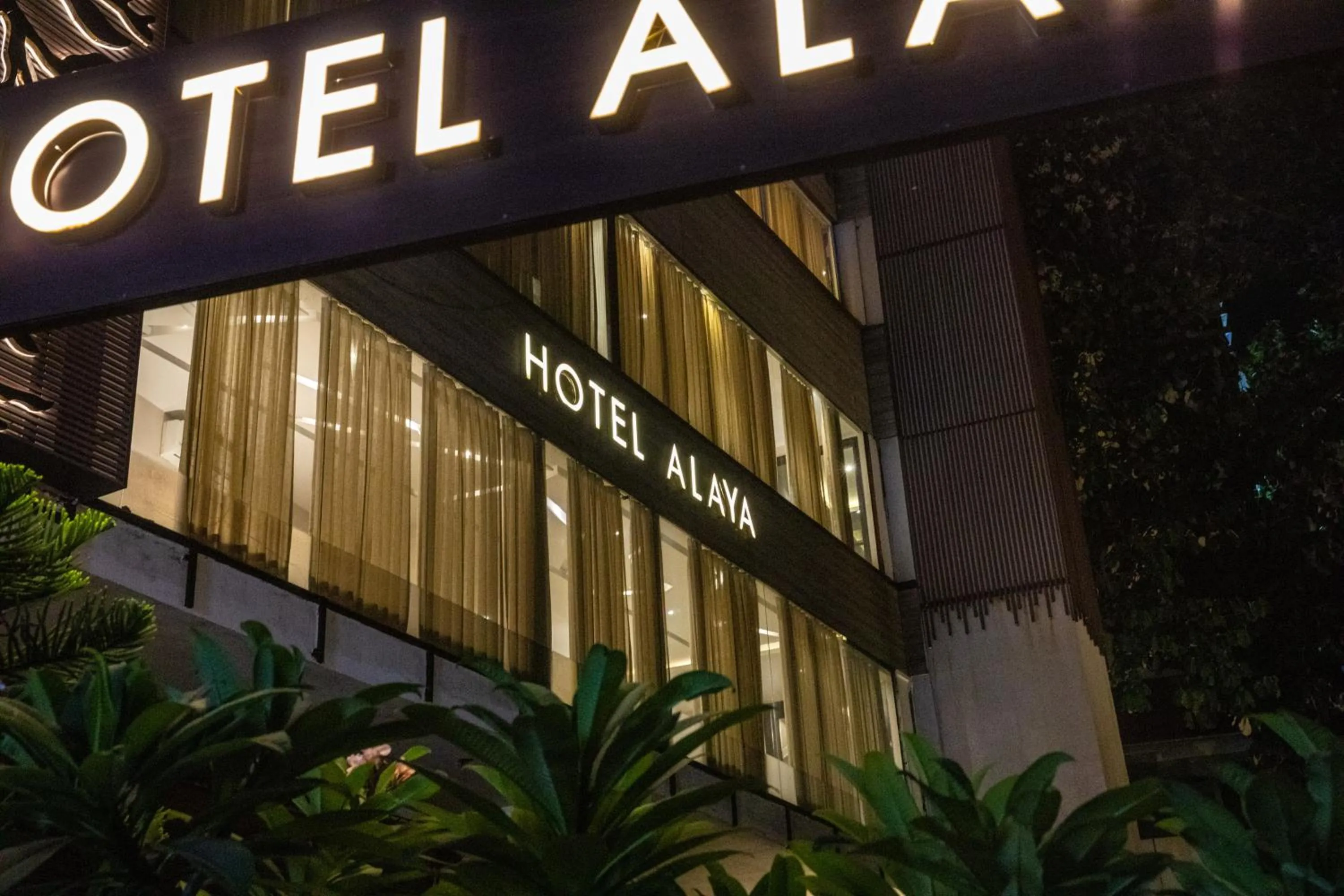 Hotel Alaya