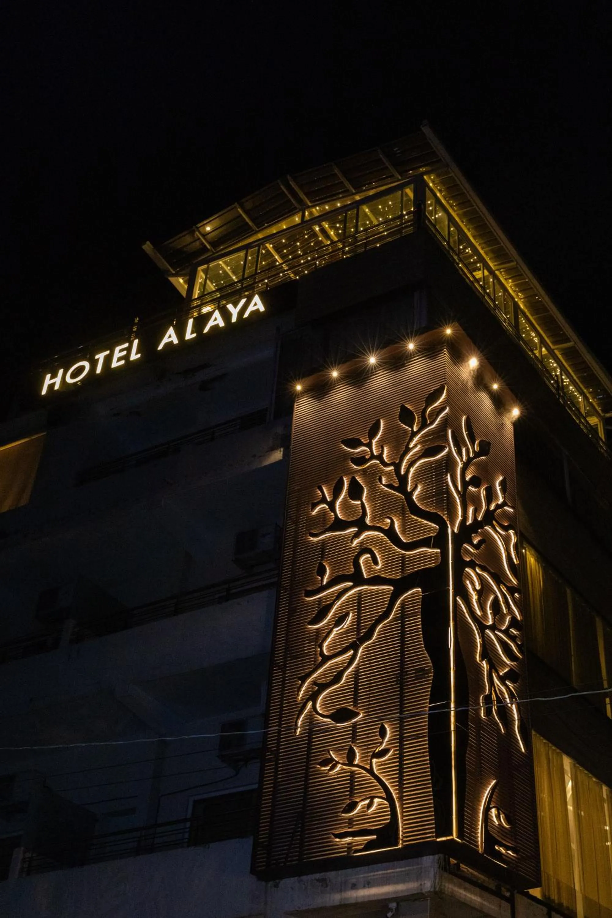 Hotel Alaya