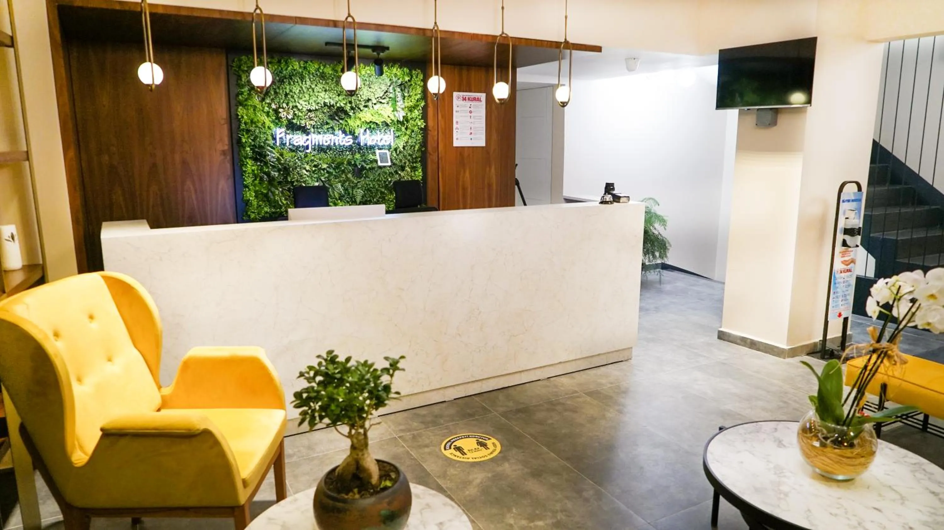 TV and multimedia in Fragments Hotel