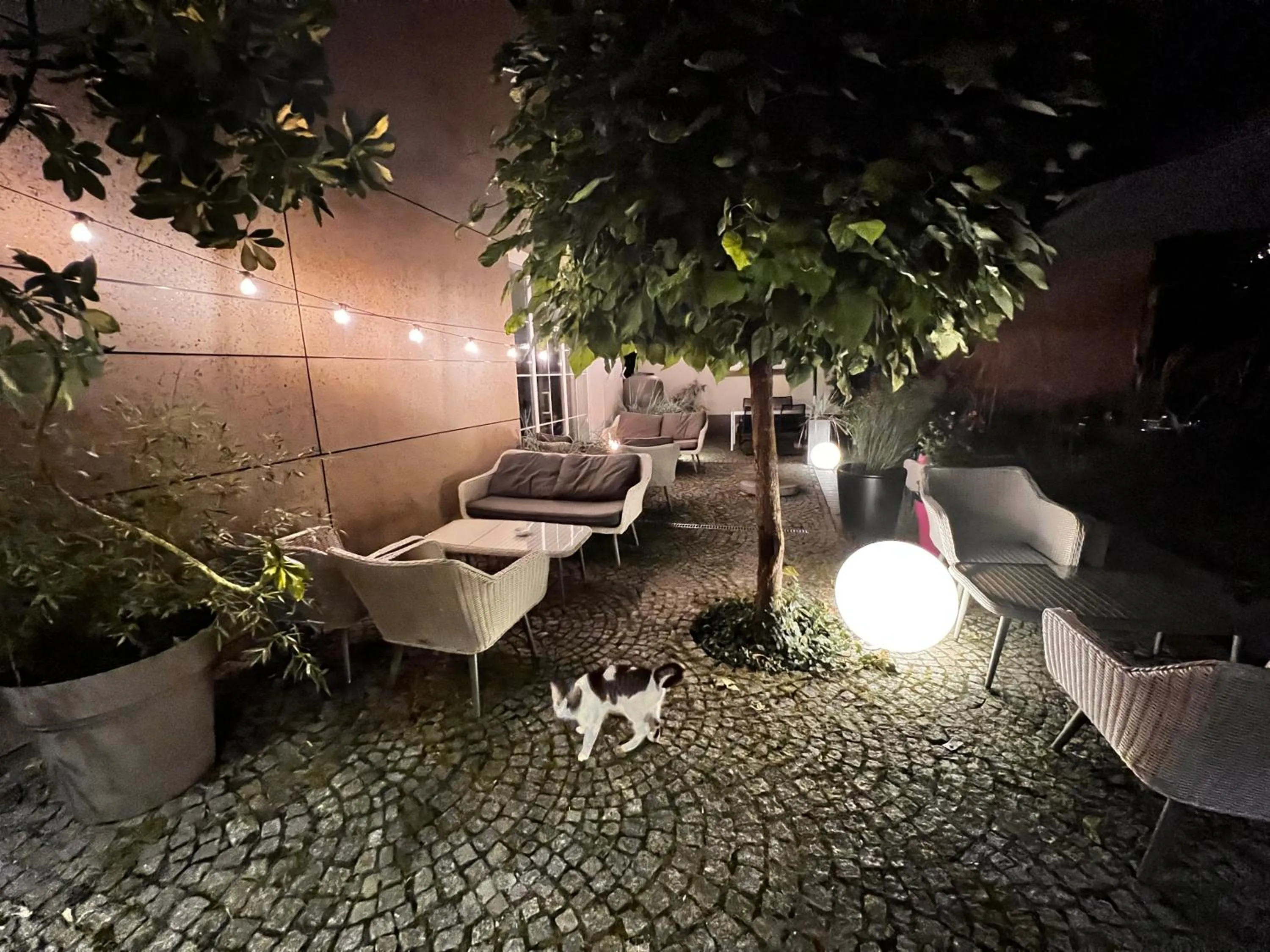 Night in Hotel Nowy Dwór