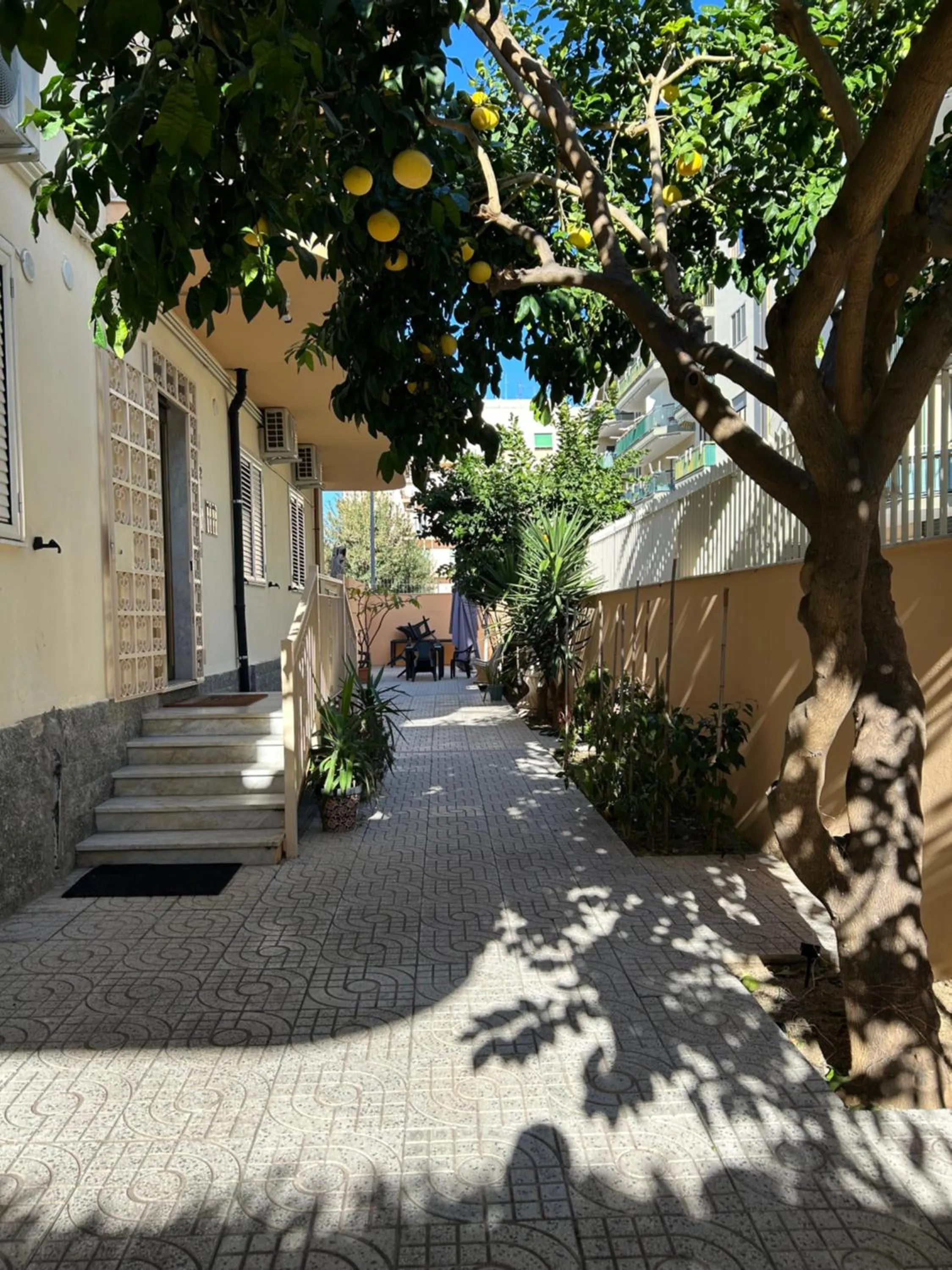 Property building in Confort Suites